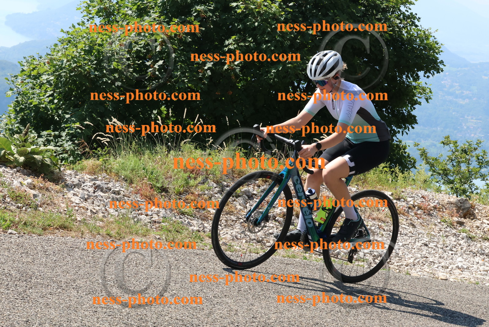 Col du Grand Colombier (308).JPG