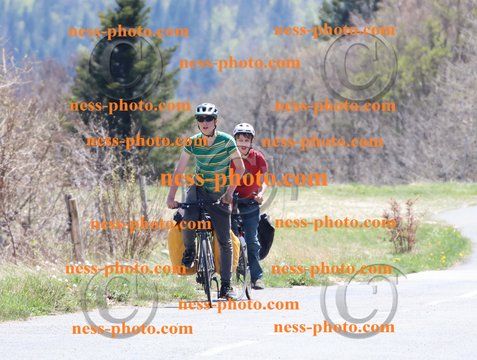 Col du Grand Colombier (808).JPG
