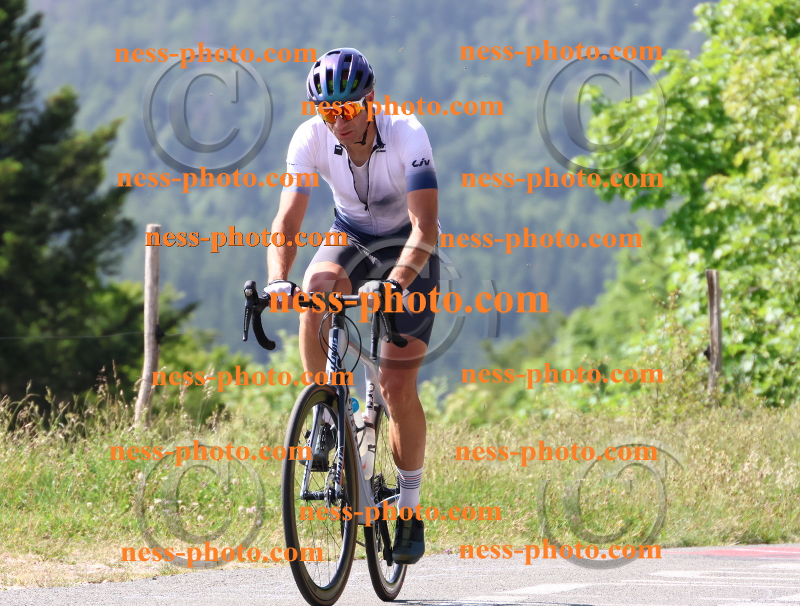 Col du grand Colombier (656).JPG