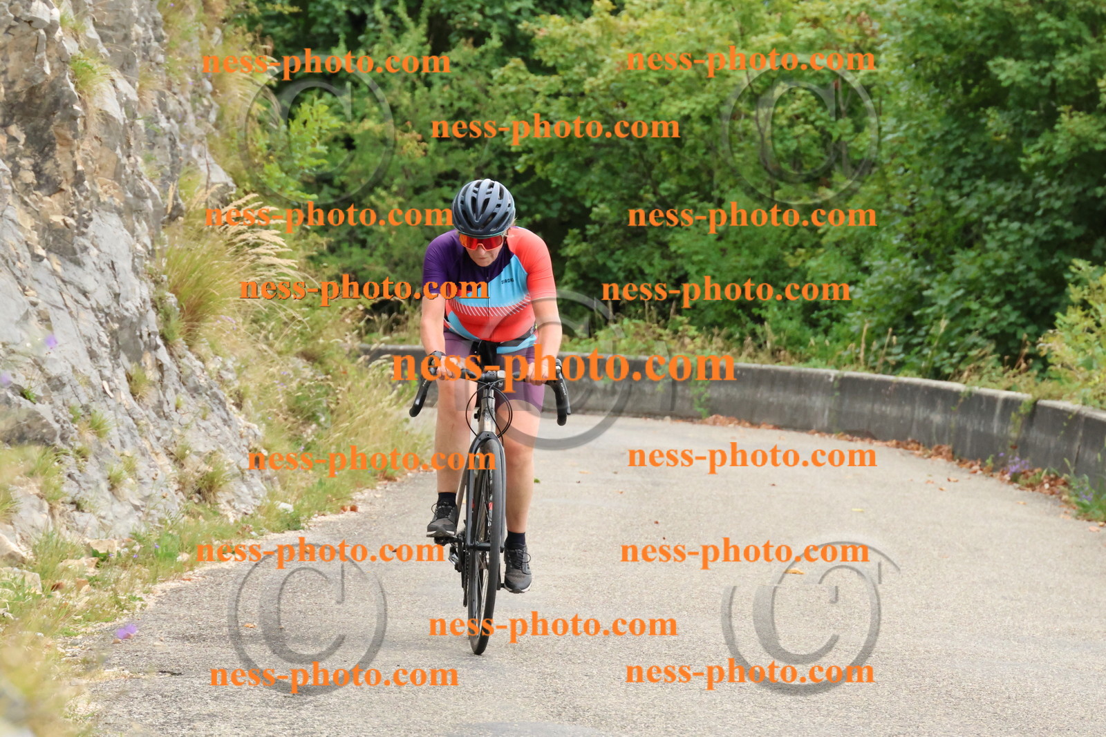 Col du Grand Colombier (67).JPG