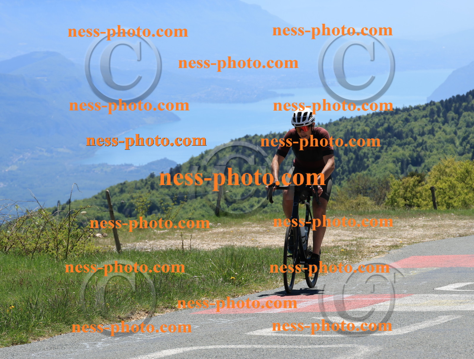 Col du Grand Colombier (352).JPG