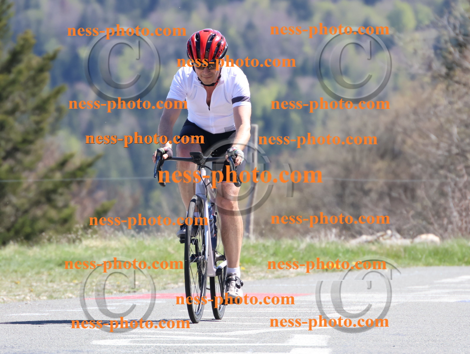 Col du Grand Colombier (985).JPG