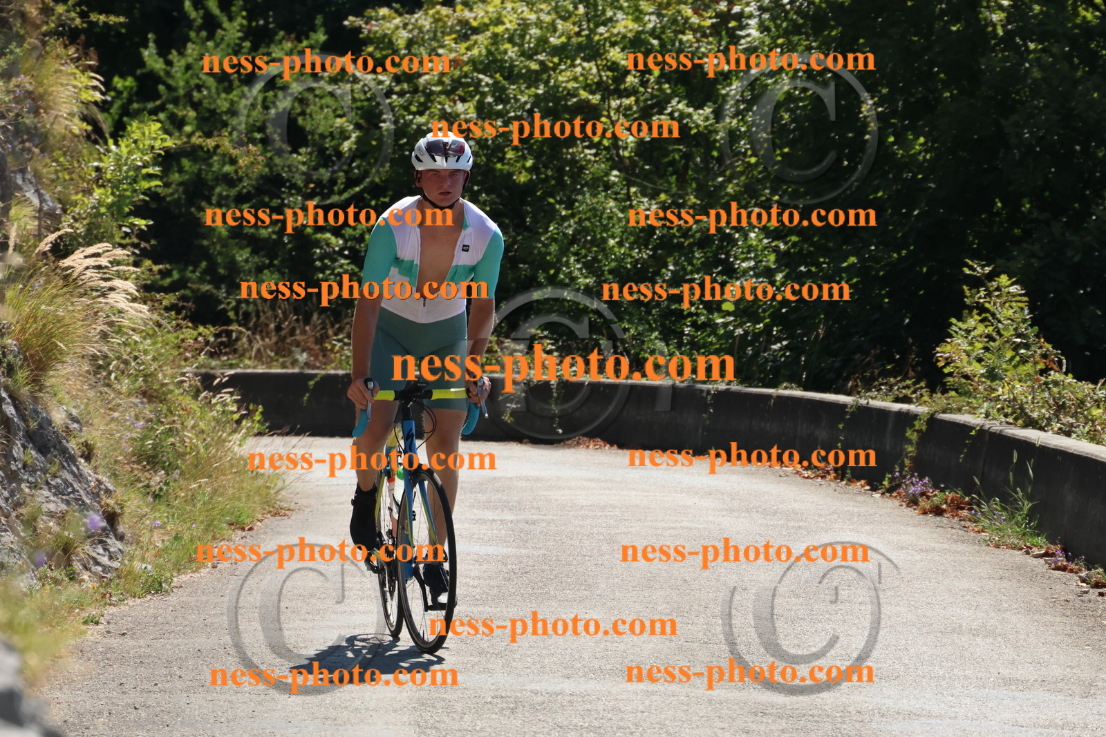 Col du Grand Colombier (143).JPG