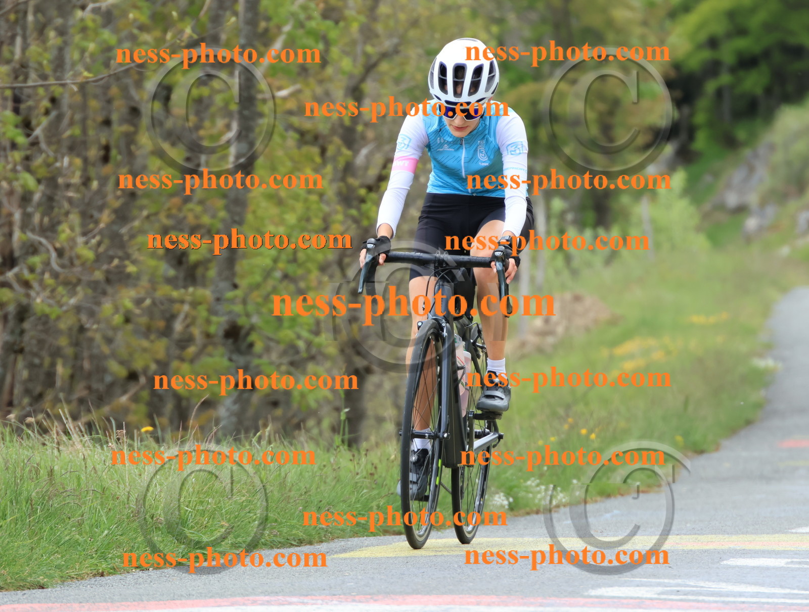 Col du Grand Colombier (542).JPG