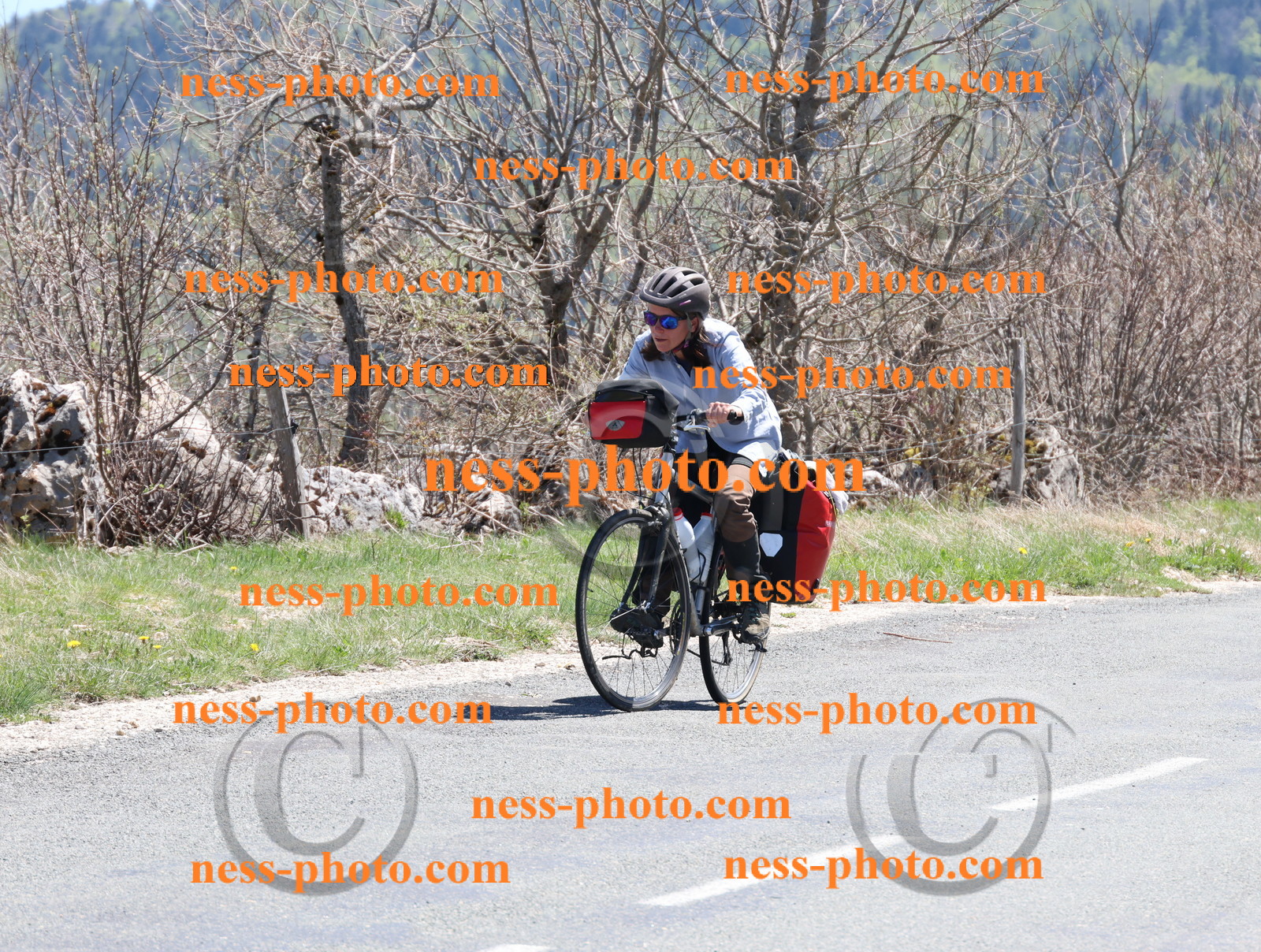 Col du Grand Colombier (839).JPG