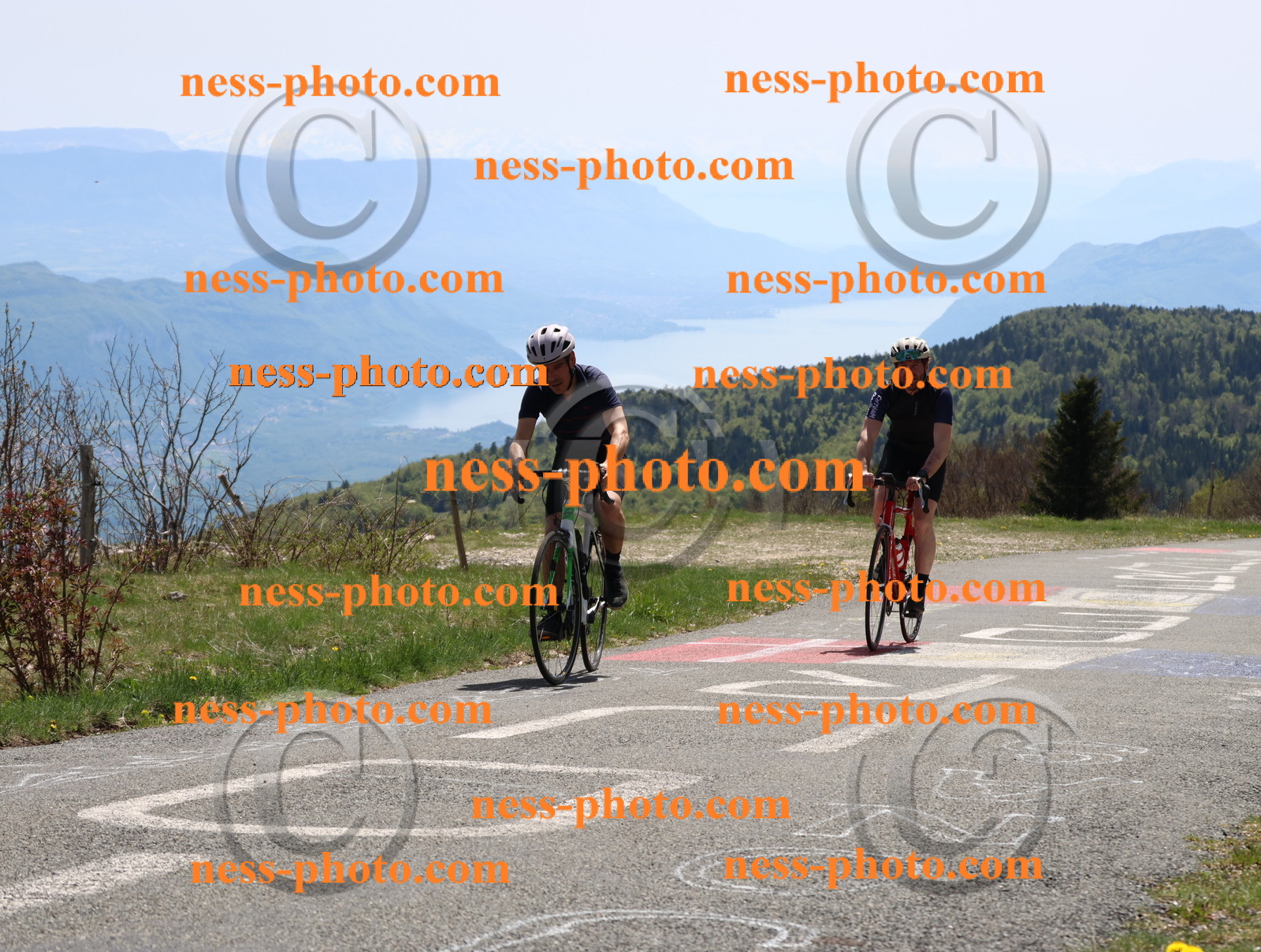 Col du Grand Colombier (597).JPG