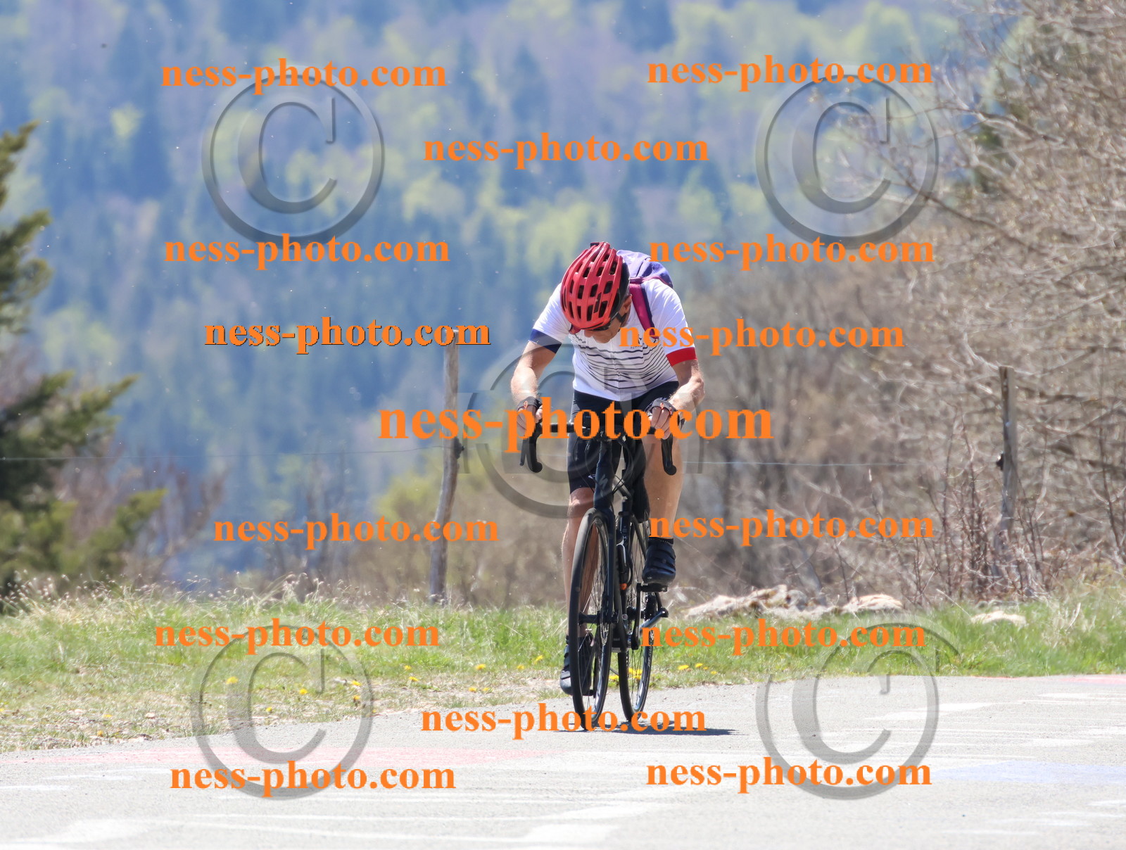 Col du Grand Colombier (419).JPG