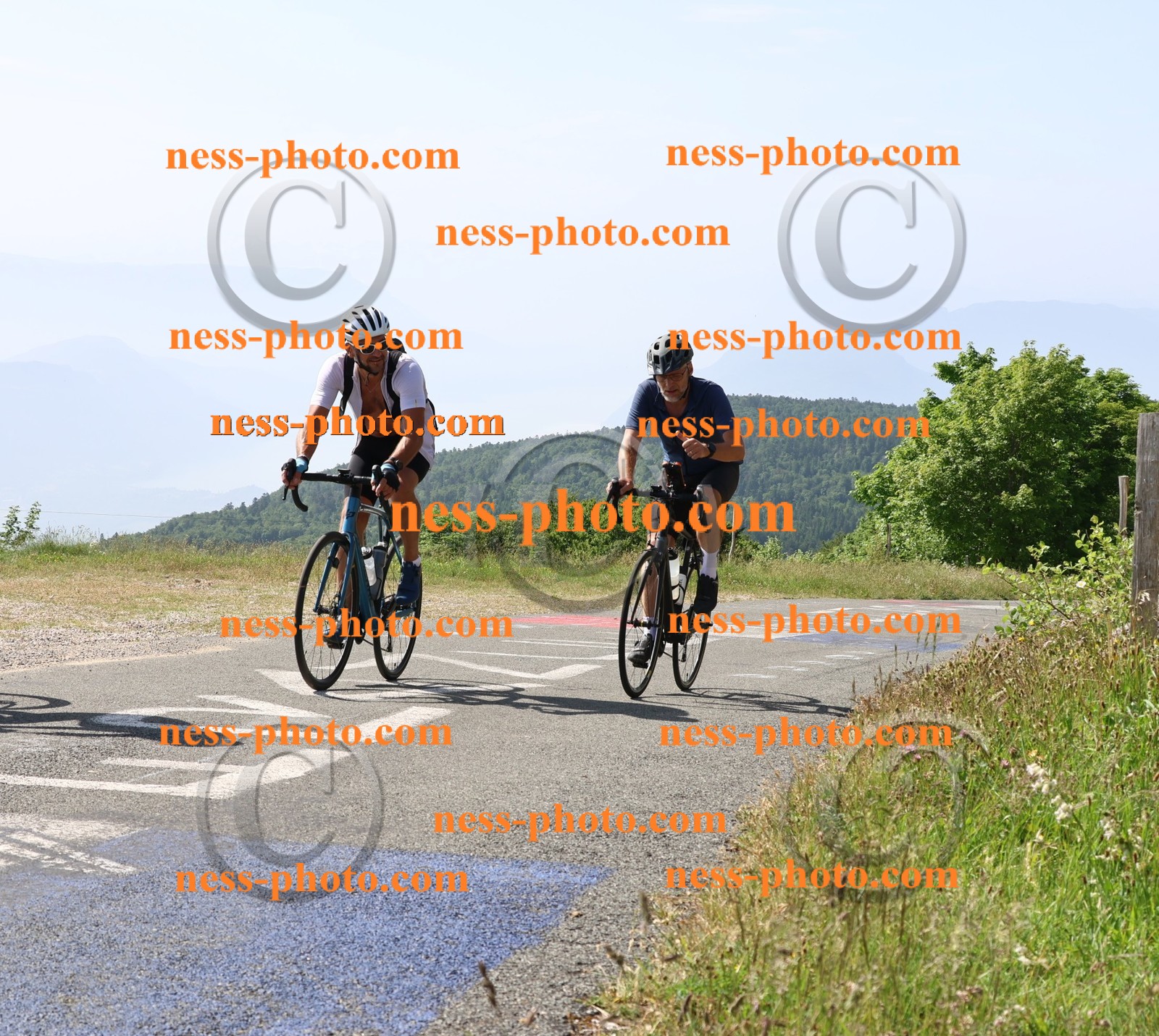 Col du grand Colombier (738).JPG
