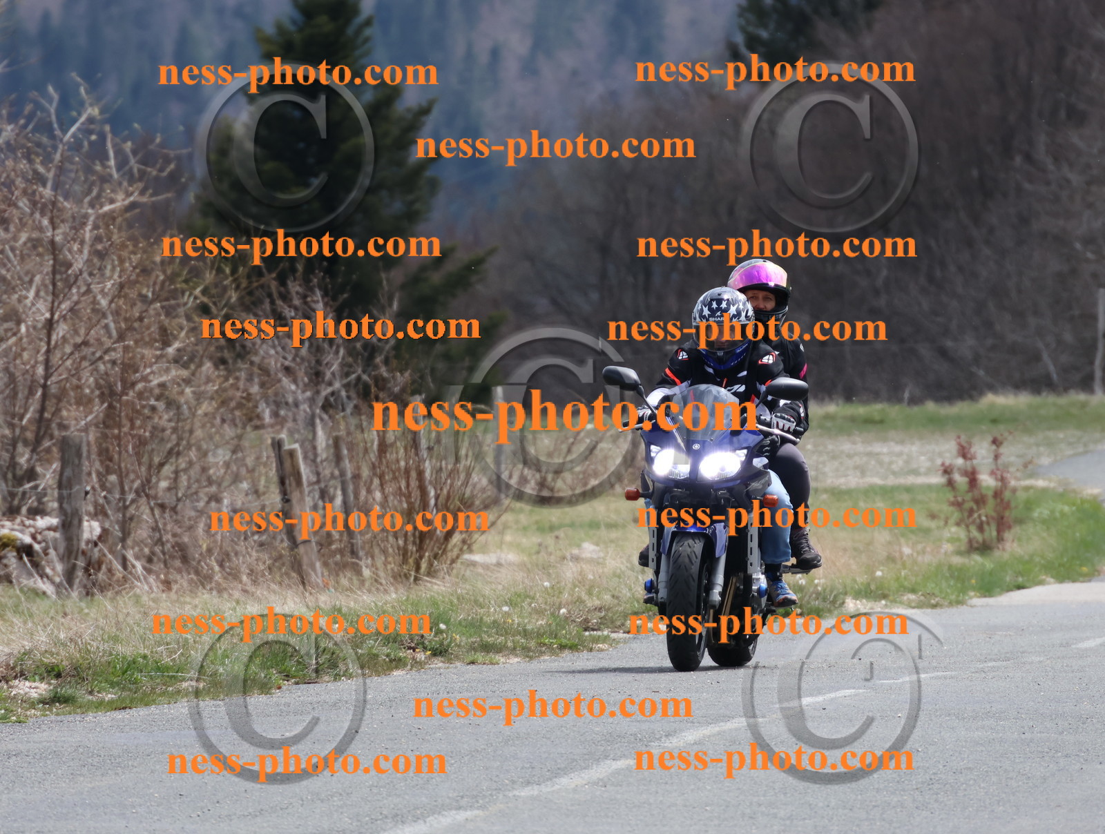 Col  du Grand Colombier (52).JPG