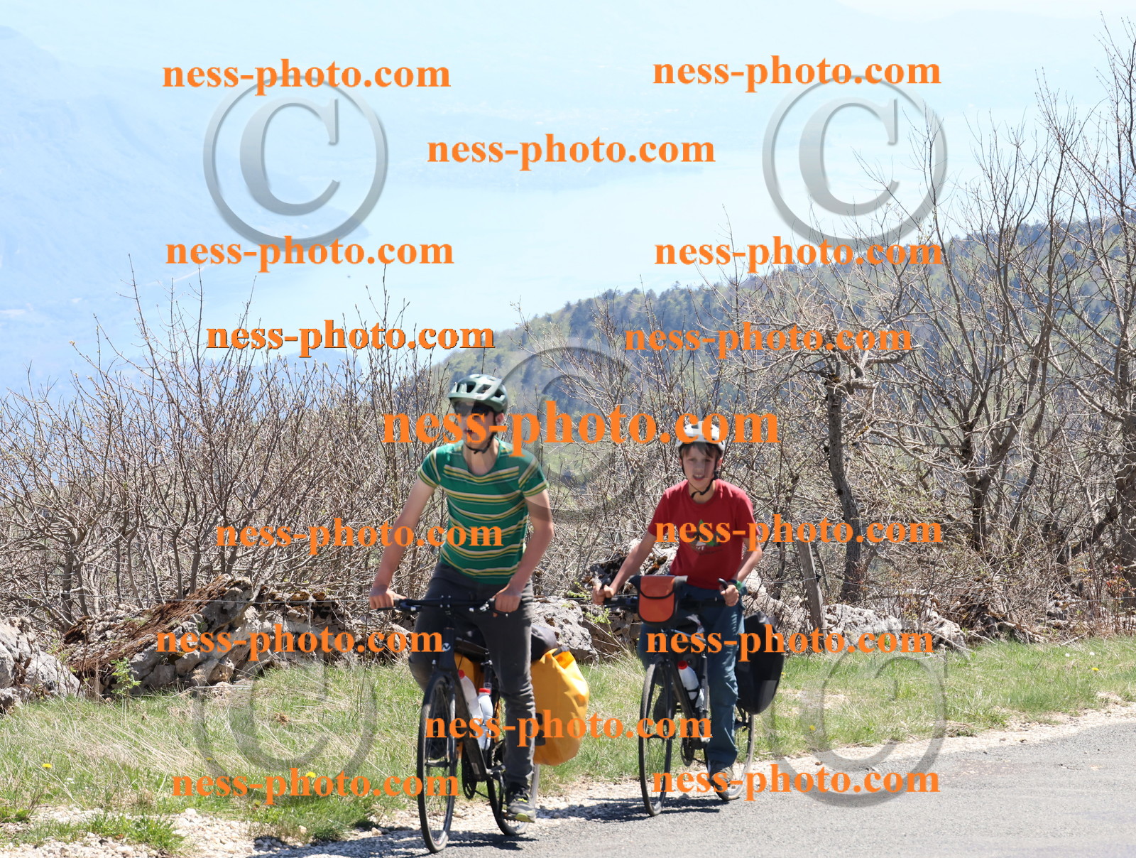 Col du Grand Colombier (815).JPG