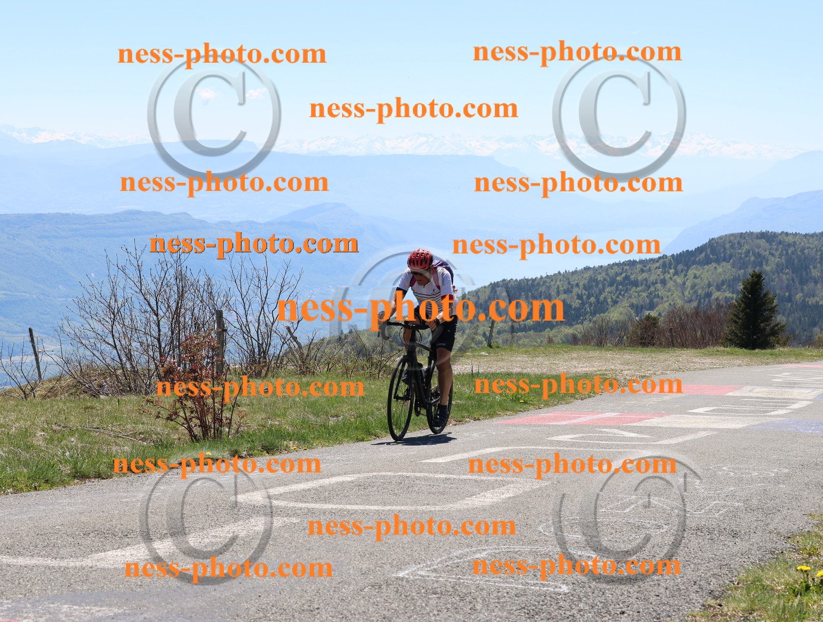 Col du Grand Colombier (426).JPG