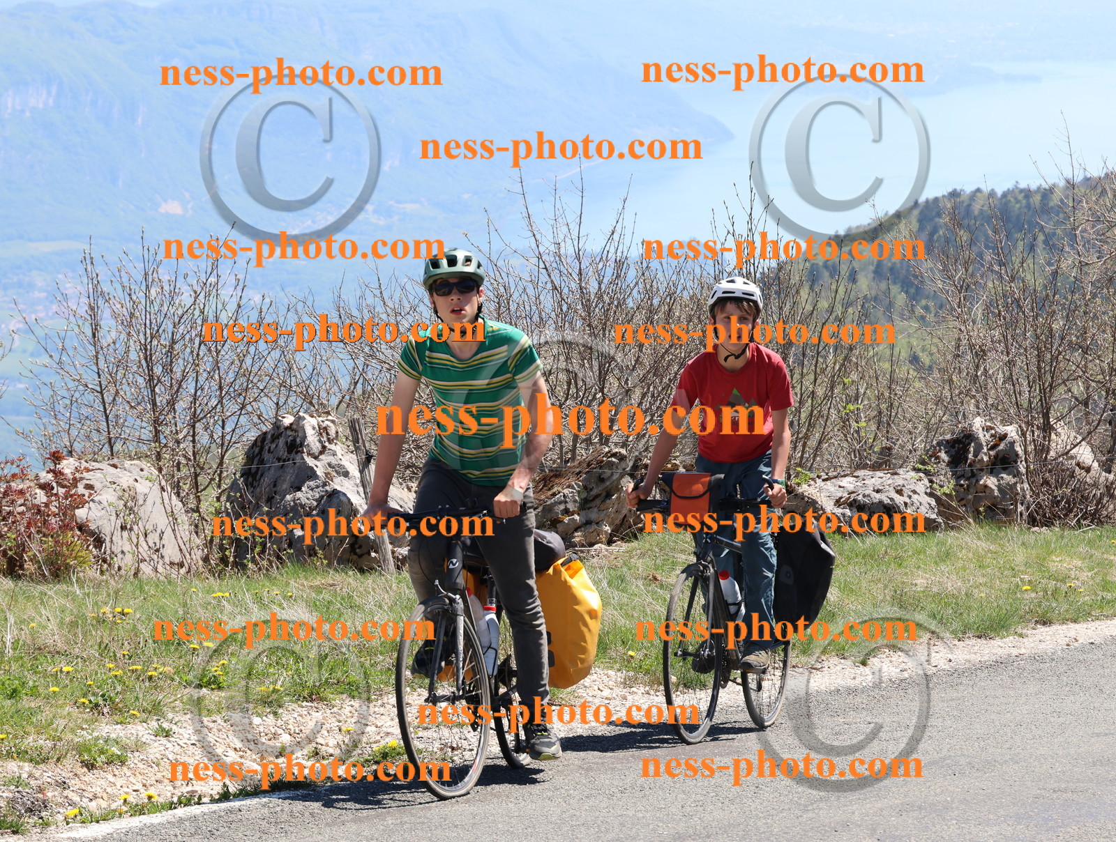 Col du Grand Colombier (816).JPG