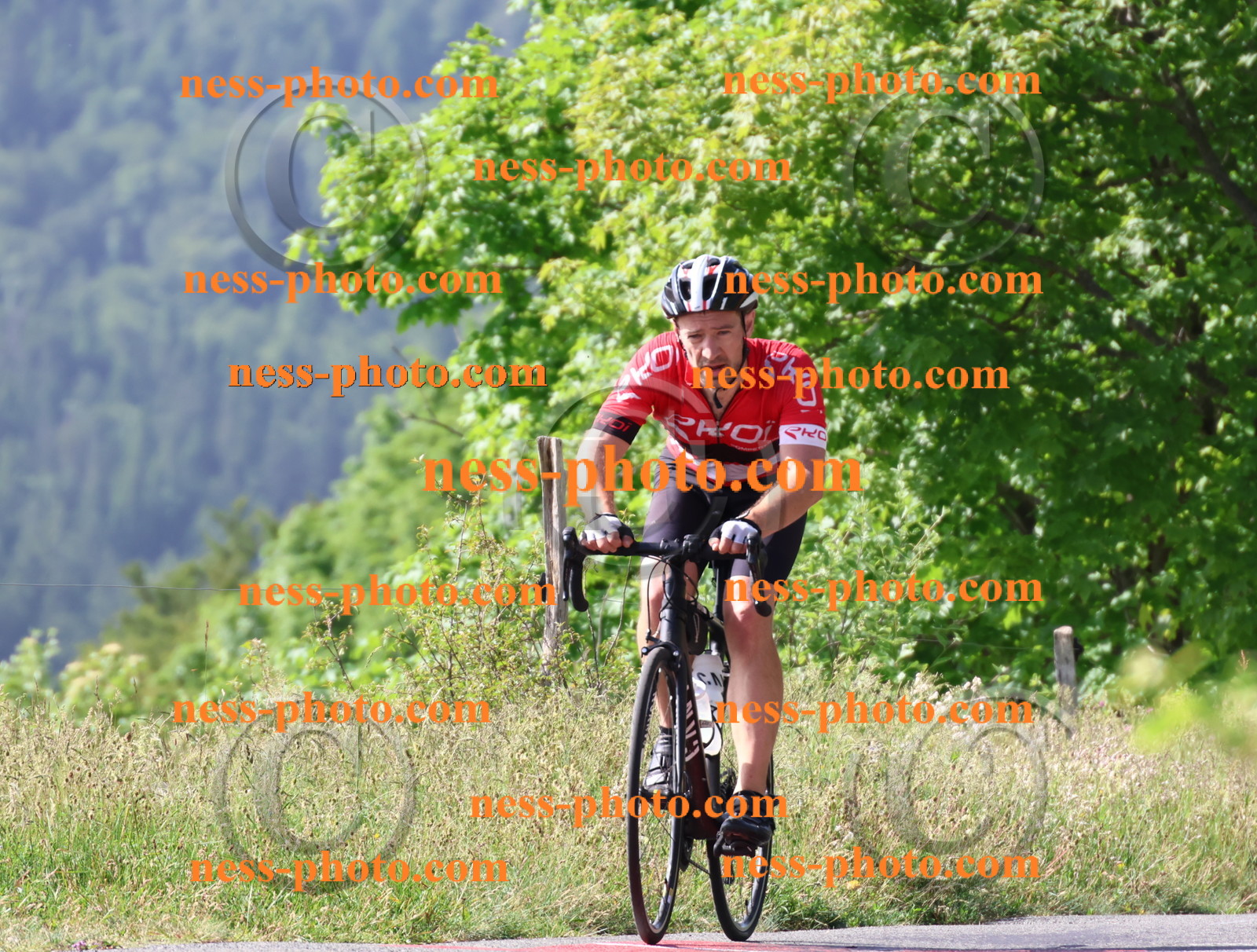 Col du grand Colombier (250).JPG