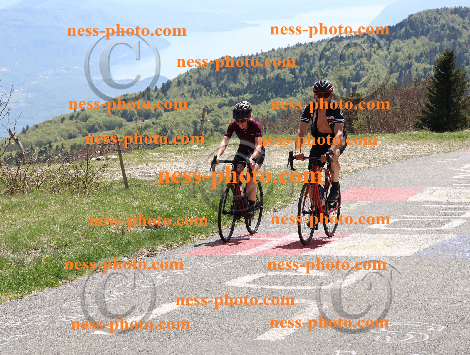 Col du Grand Colombier (646).JPG