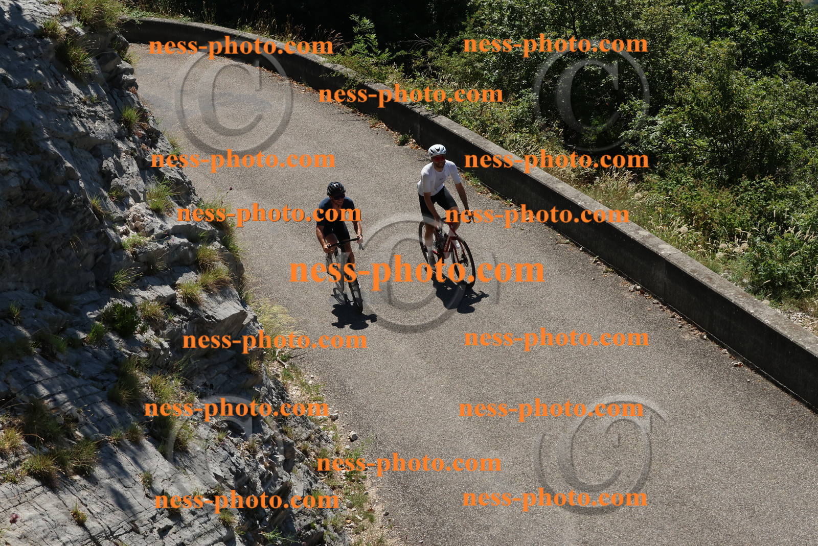 Col du Grand Colombier (361).JPG