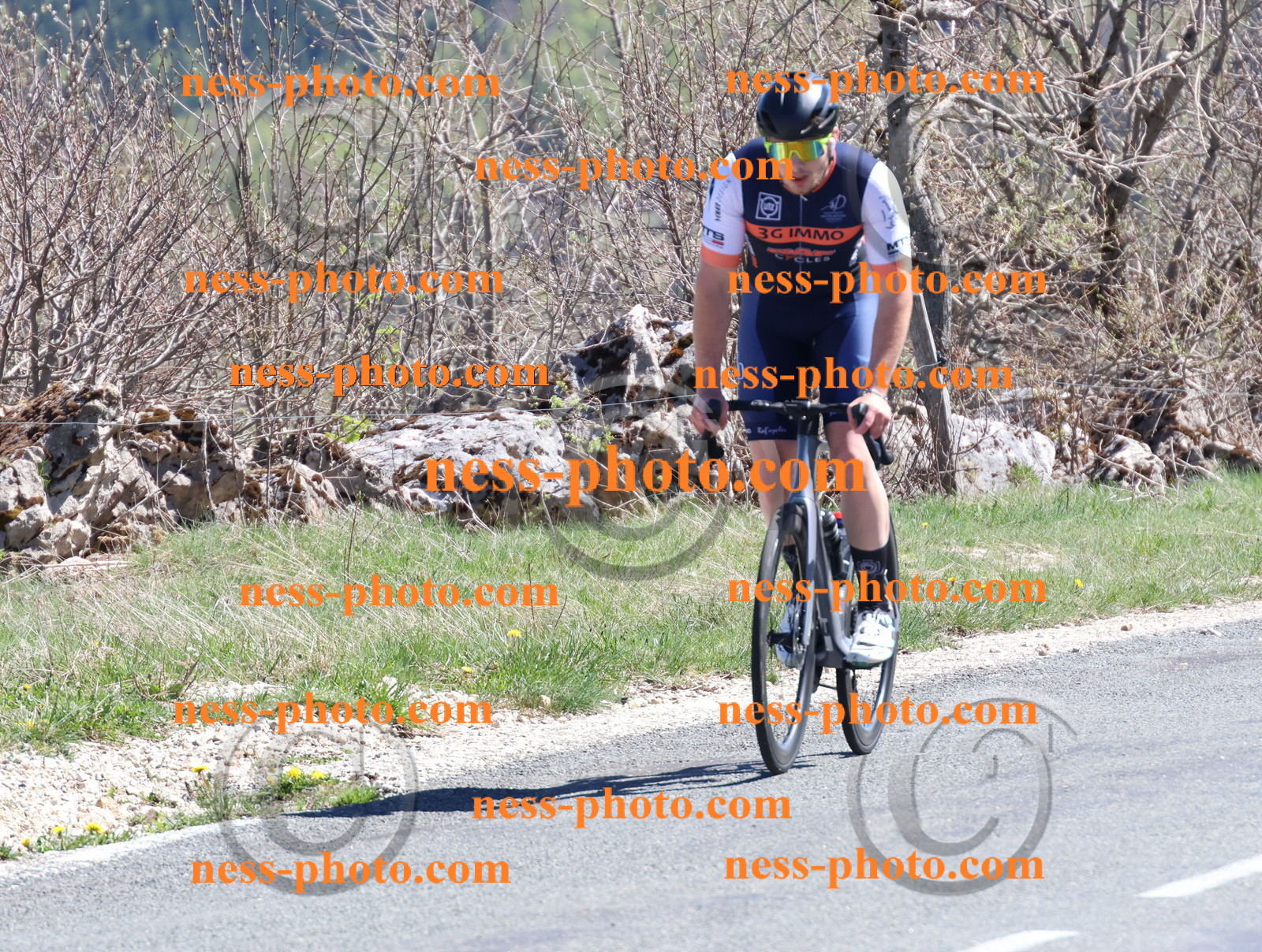 Col du Grand Colombier (958).JPG