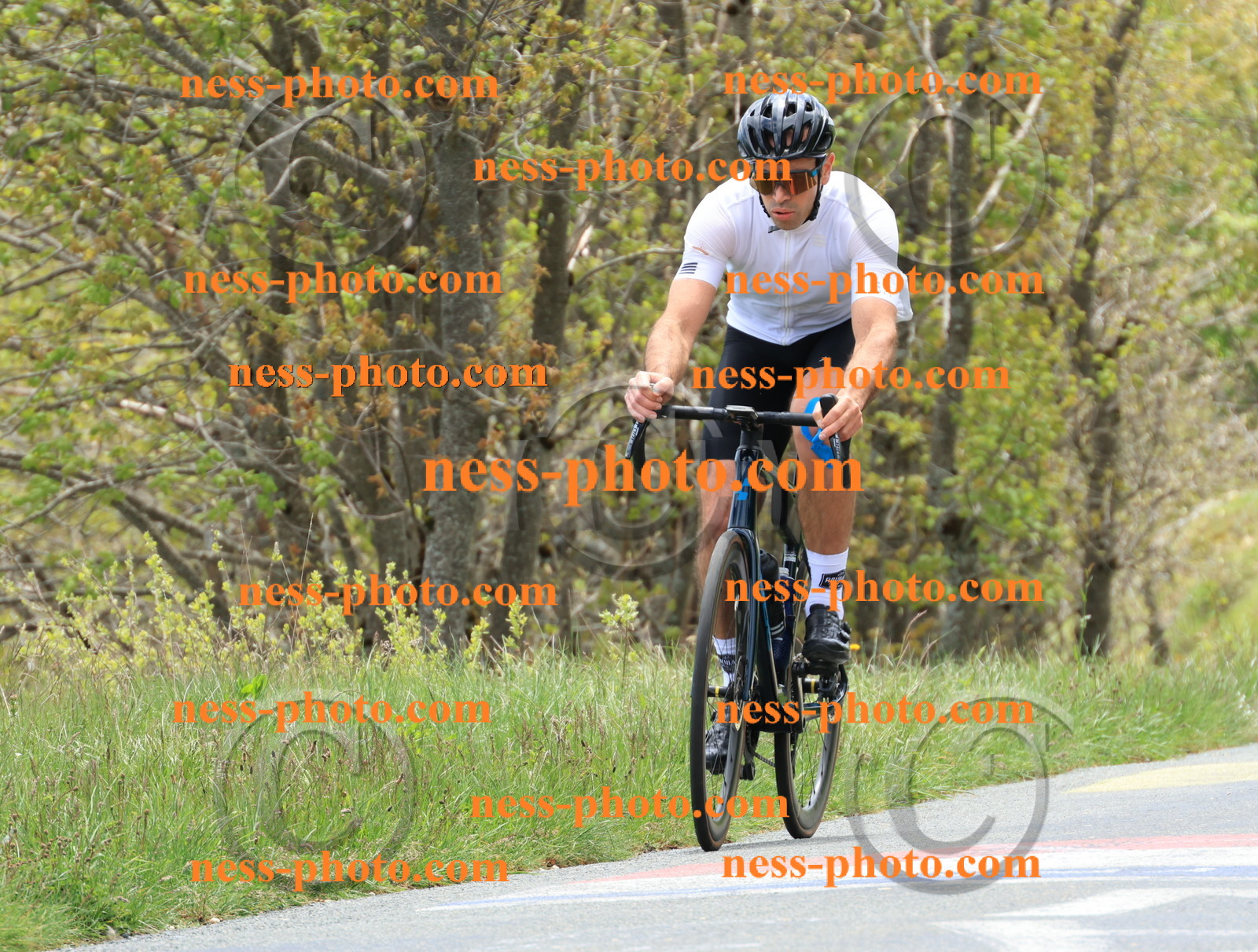 Col du Grand Colombier (506).JPG