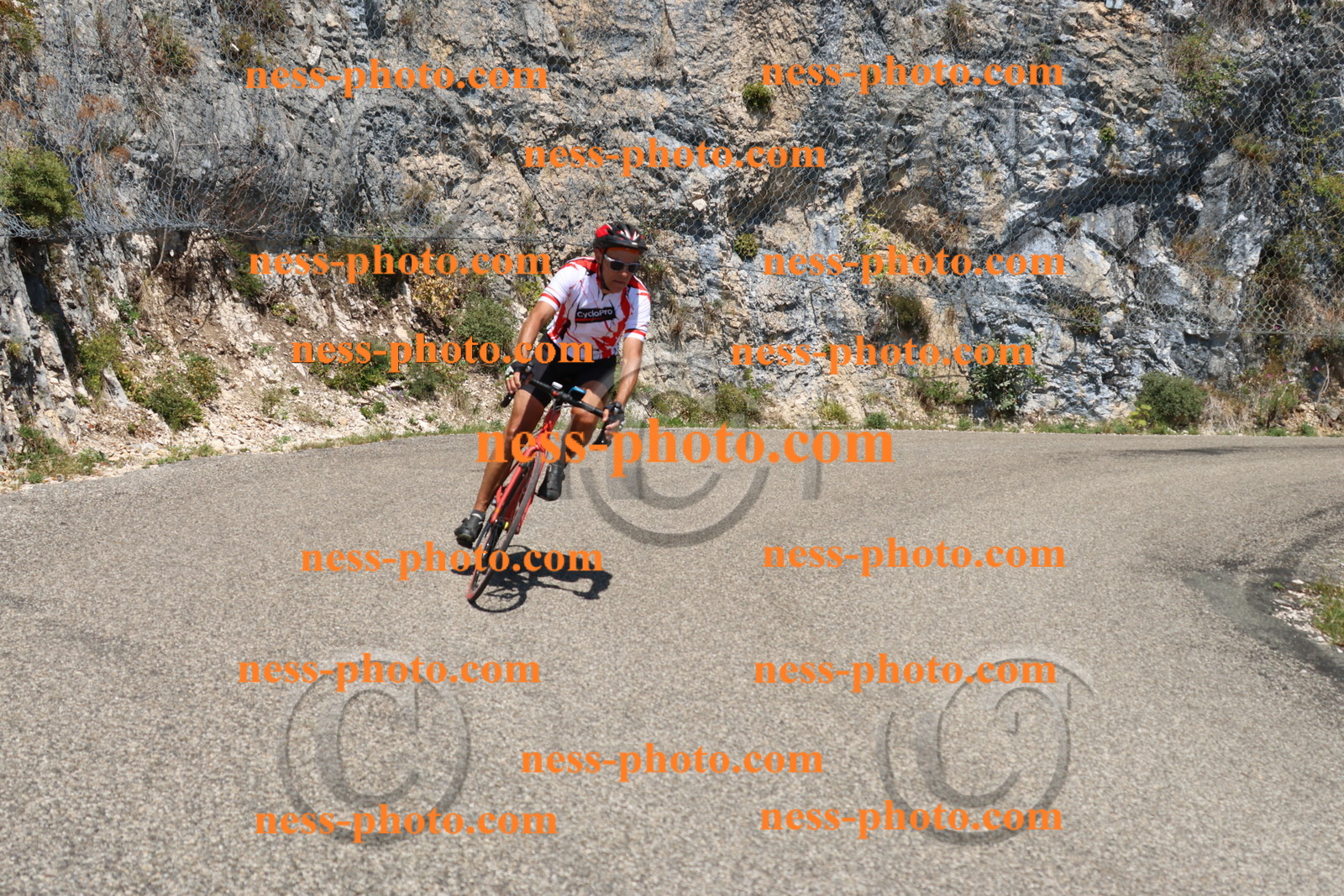 Col du Grand Colombier (490).JPG