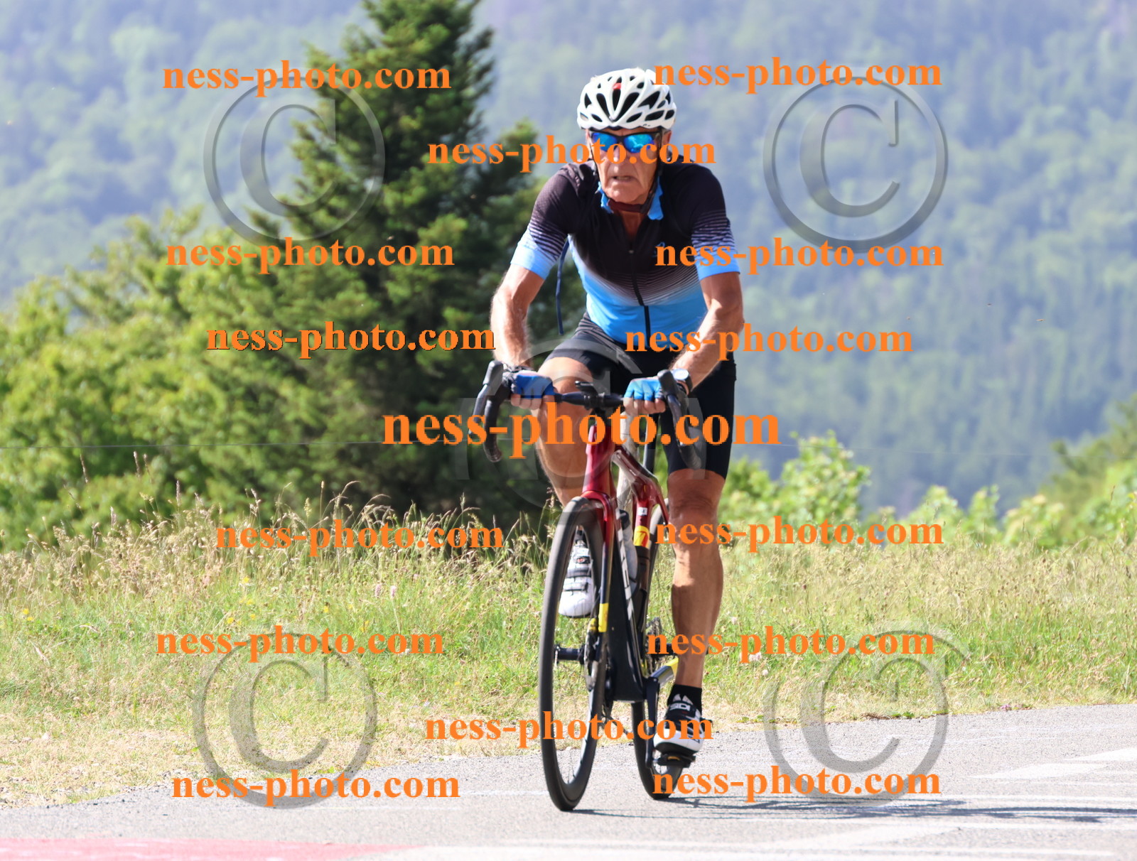 Col du grand Colombier (538).JPG