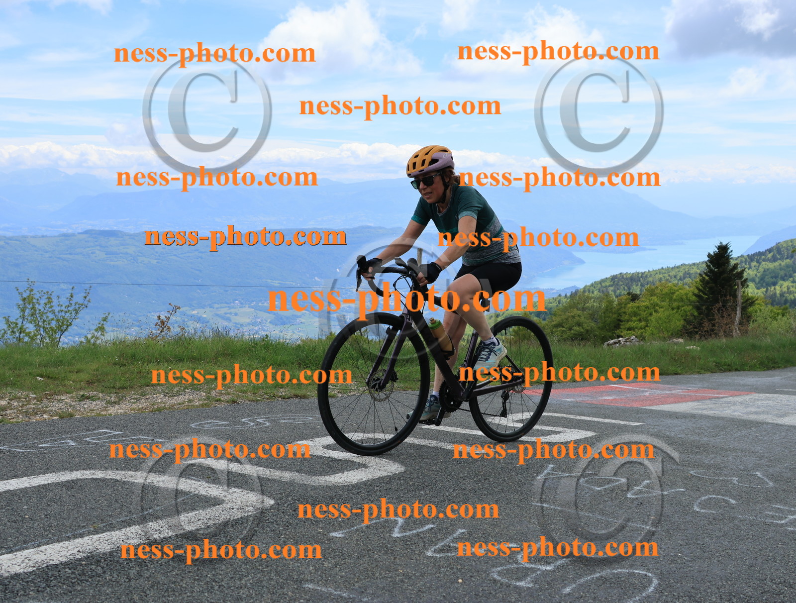 Col du Grand Colombier (597).JPG