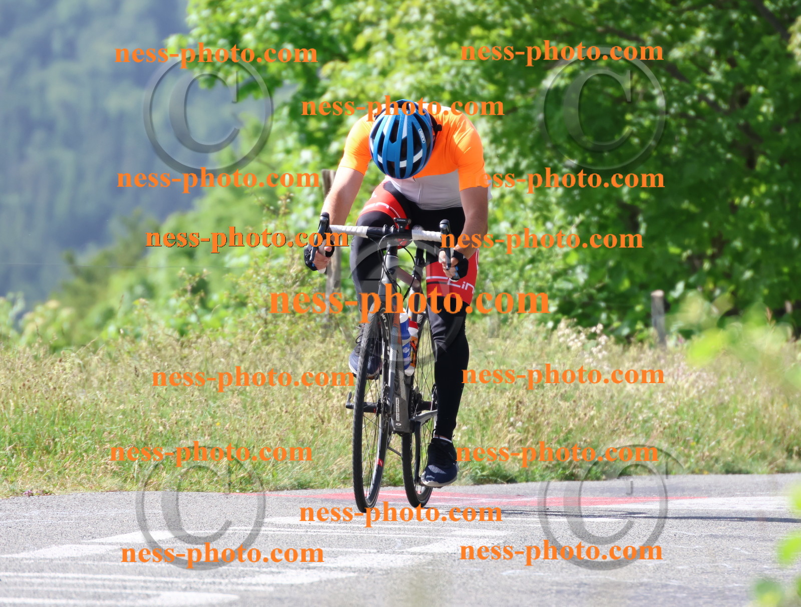 Col du grand Colombier (460).JPG