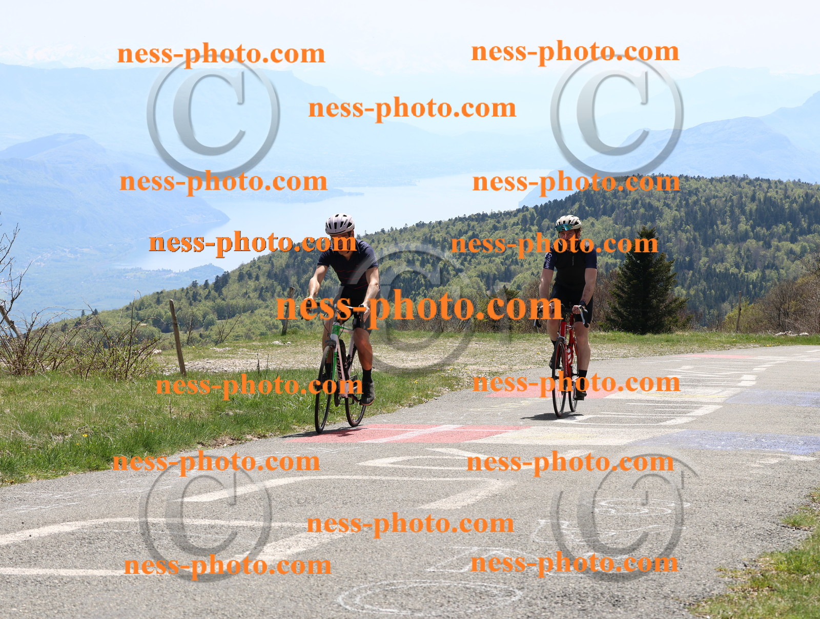 Col du Grand Colombier (596).JPG