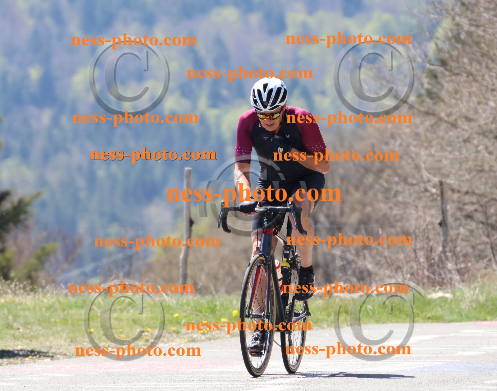 Col du Grand Colombier (282).JPG