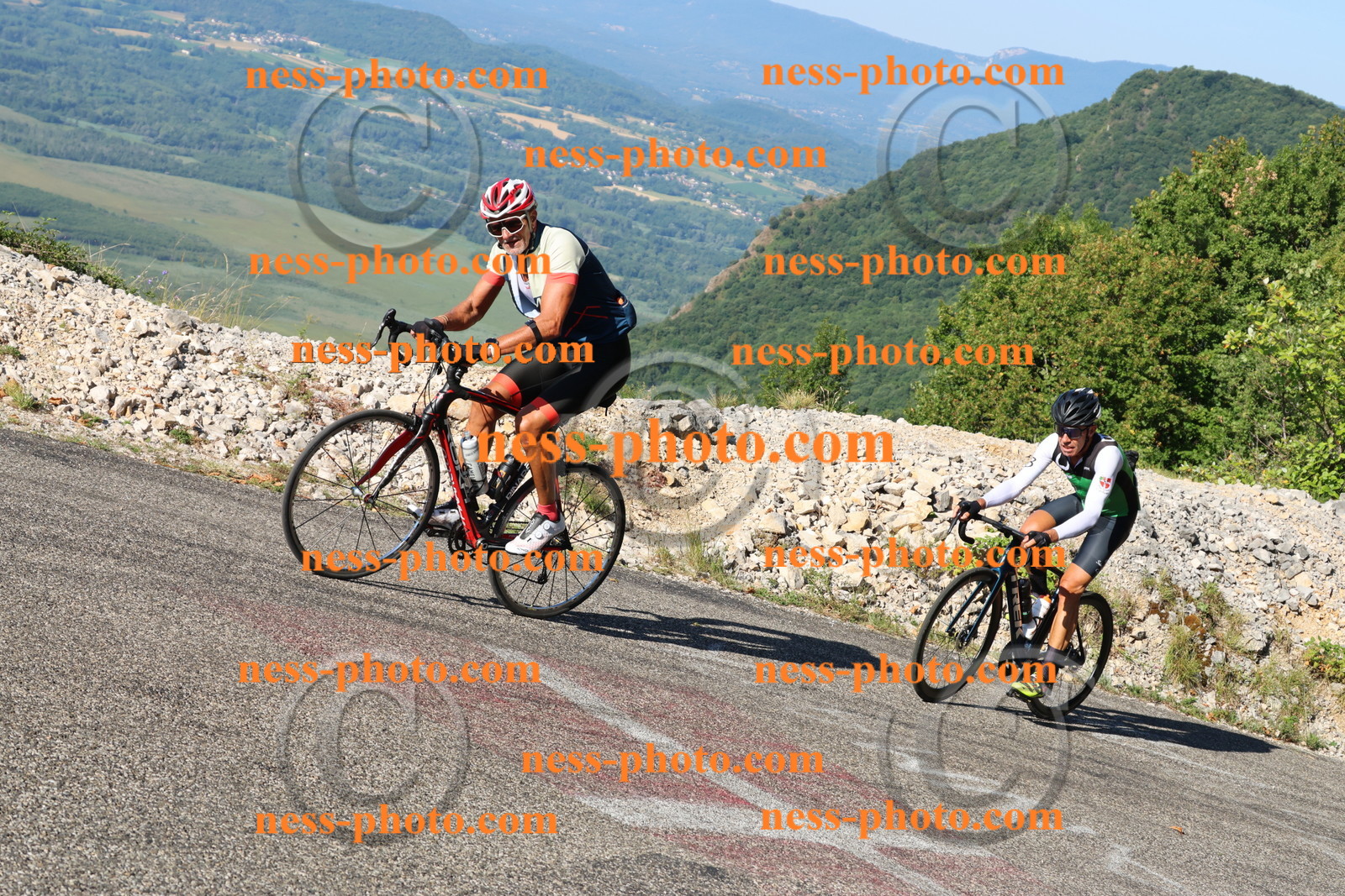 Col du Grand Colombier (748).JPG