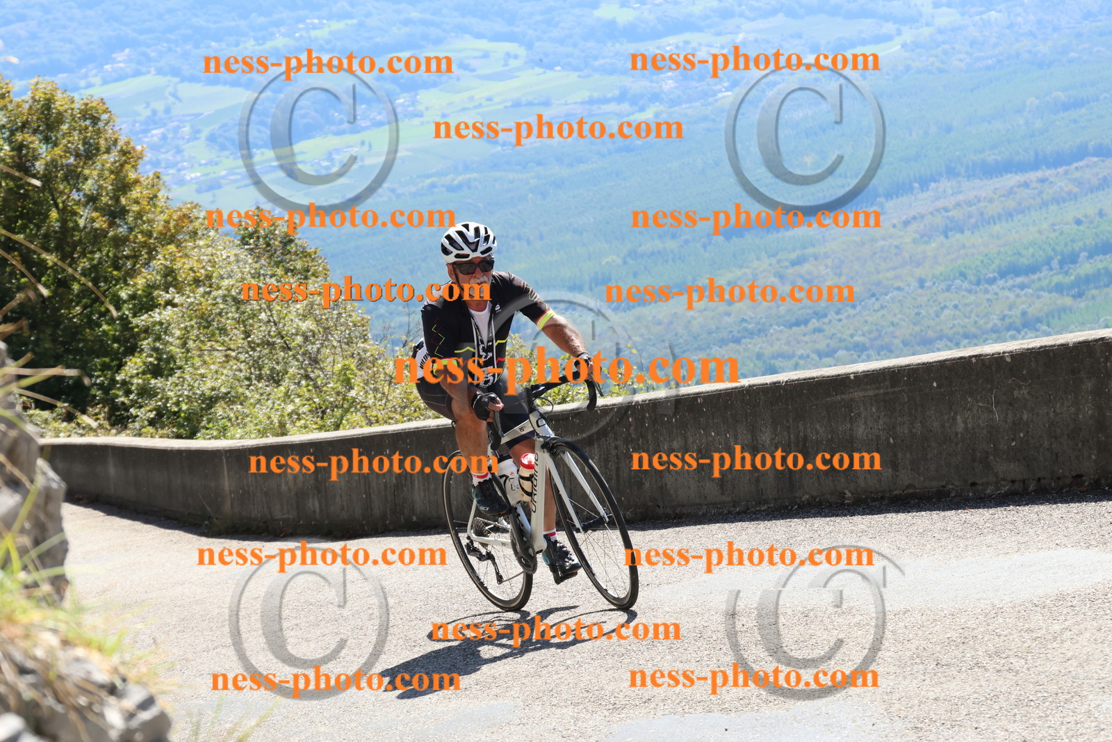 Col du Grand Colombier (351).JPG