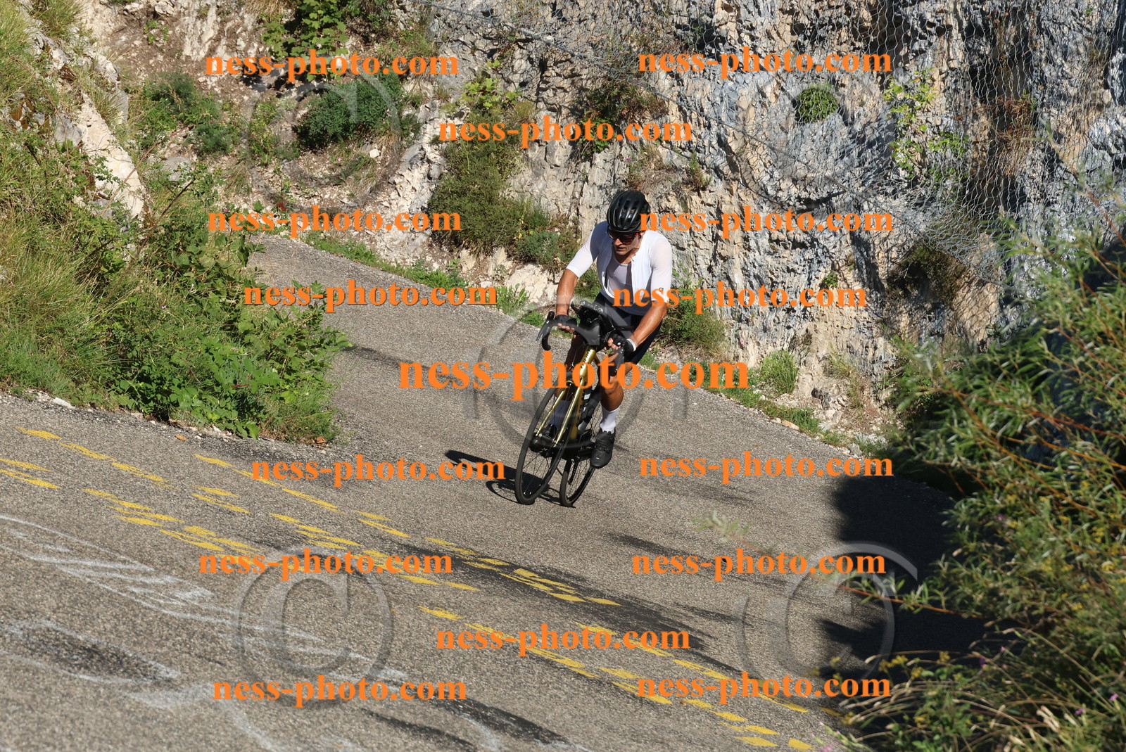 Col du Grand Colombier (171).JPG