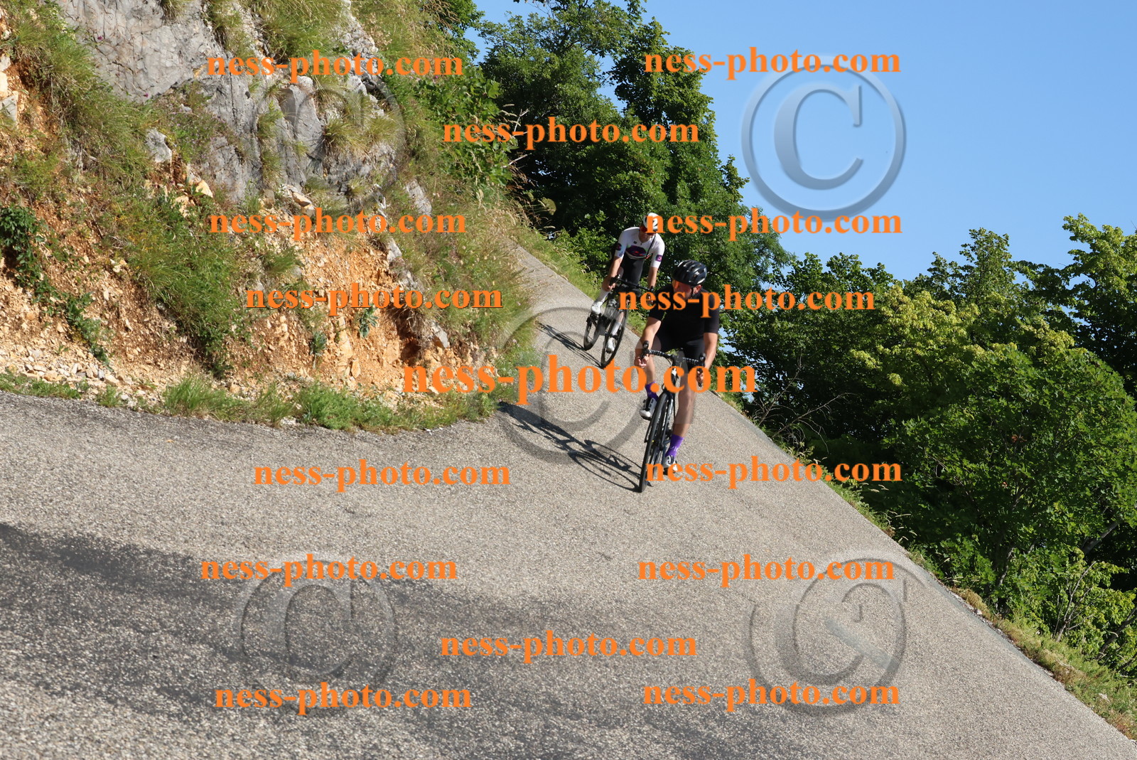 Col du Grand Colombier (445).JPG