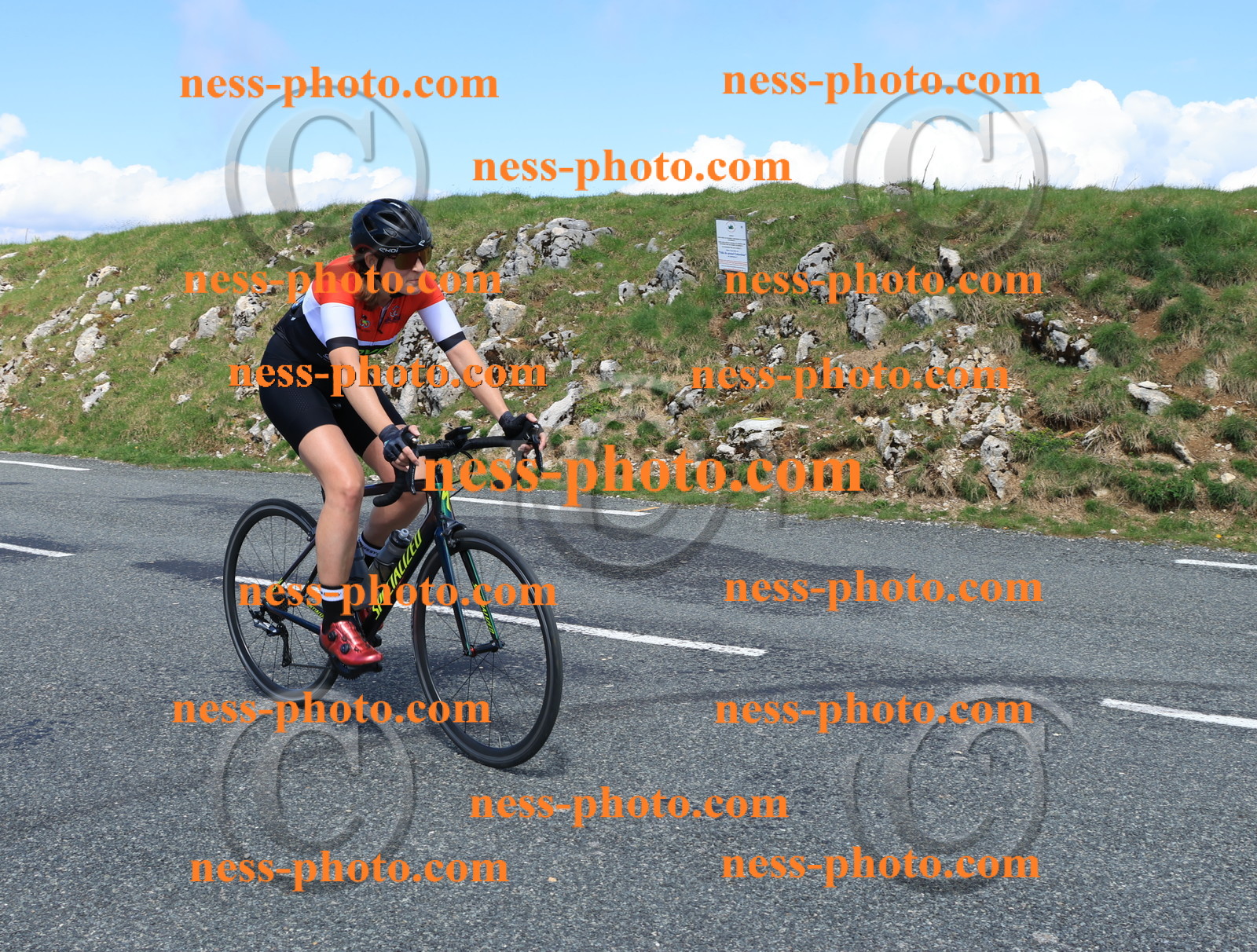 Col du Grand Colombier (1261).JPG