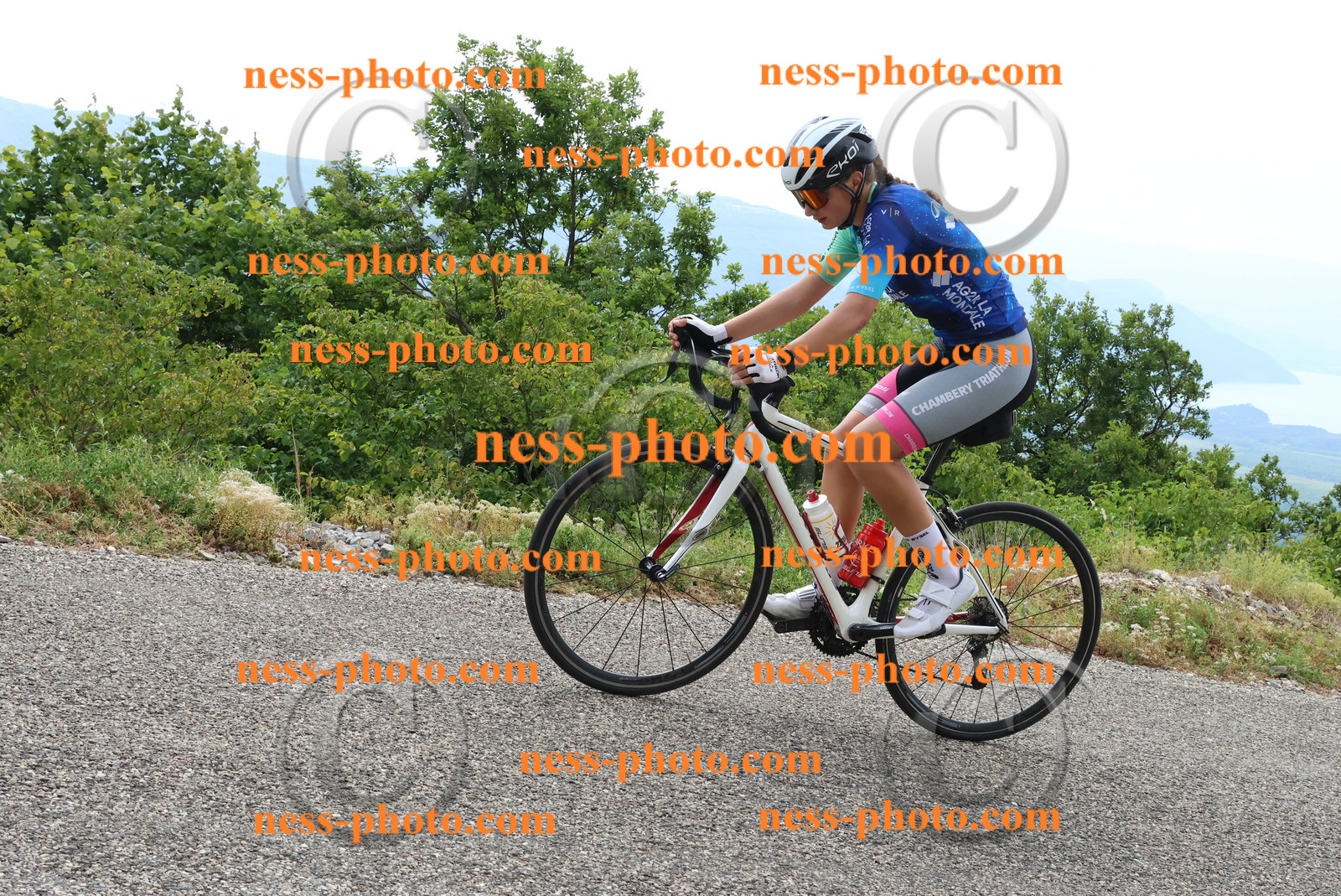 Col du Grand Colombier (155).JPG