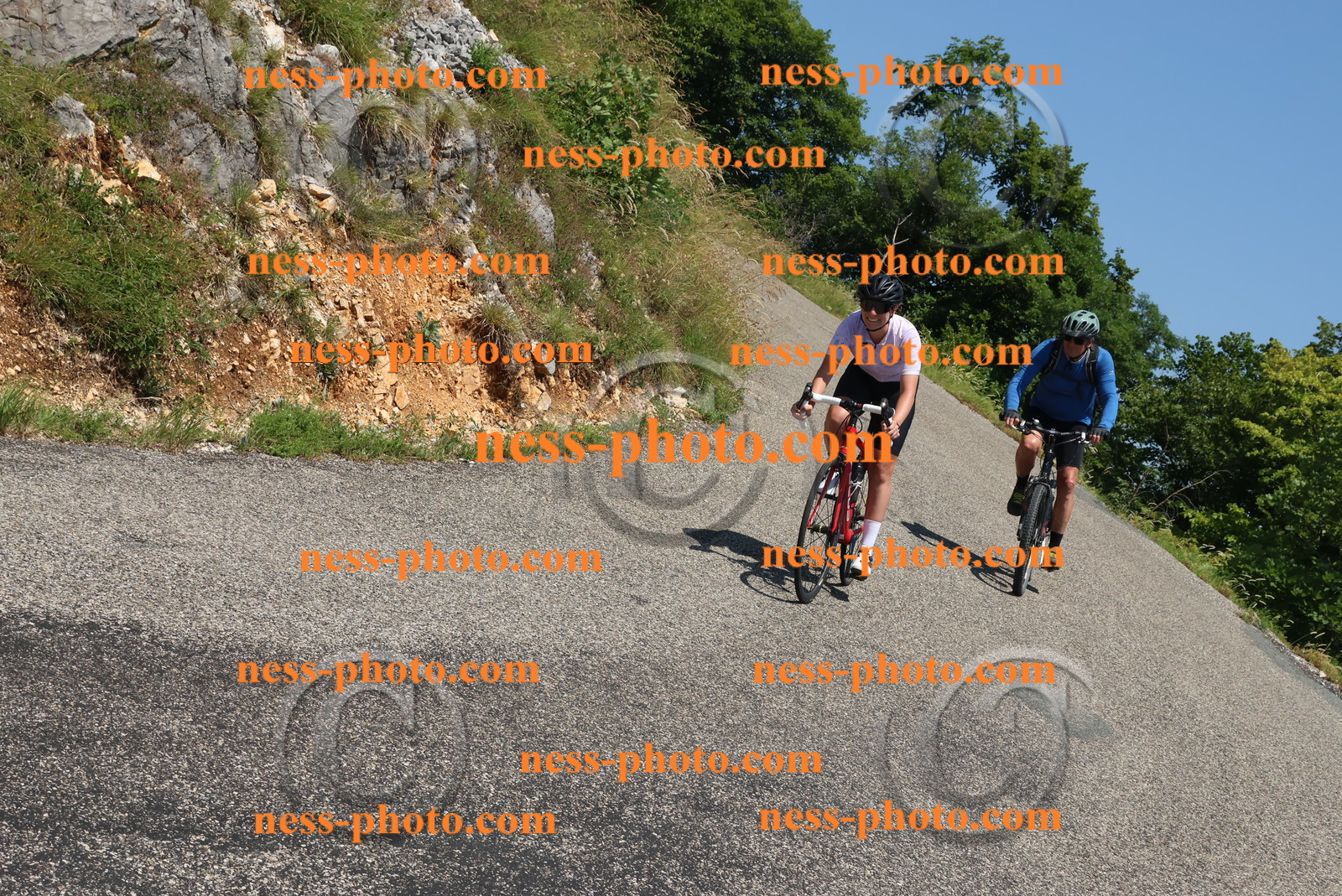 Col du Grand Colombier (496).JPG