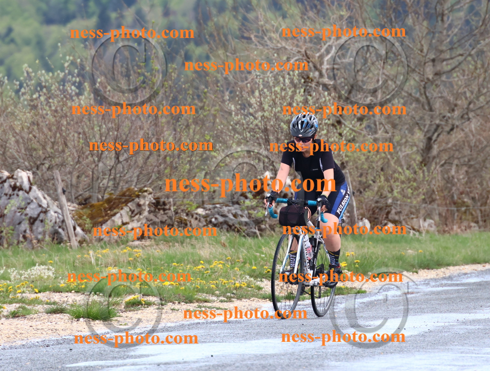 Col du Grand Colombier (254).JPG