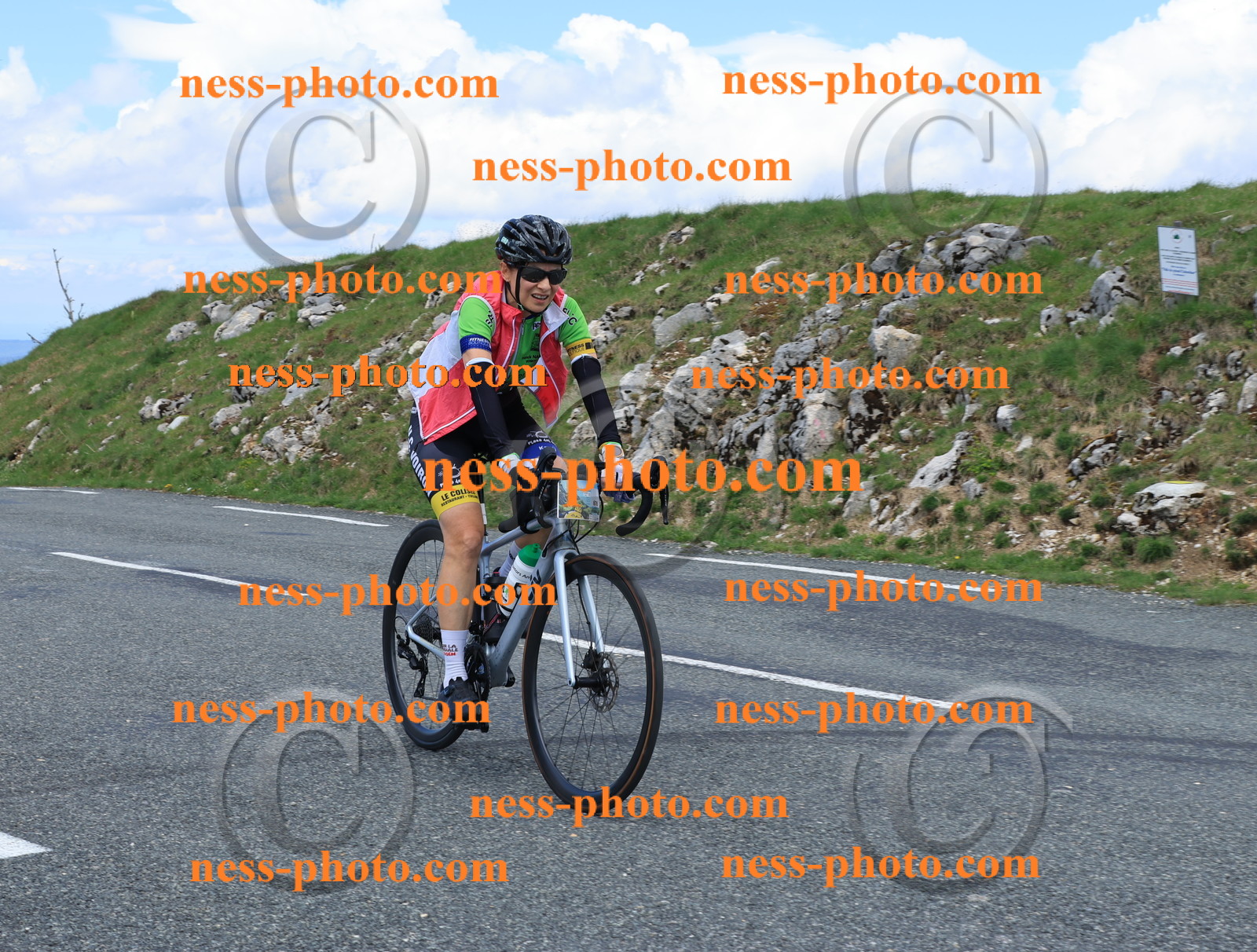 Col du Grand Colombier (2643).JPG