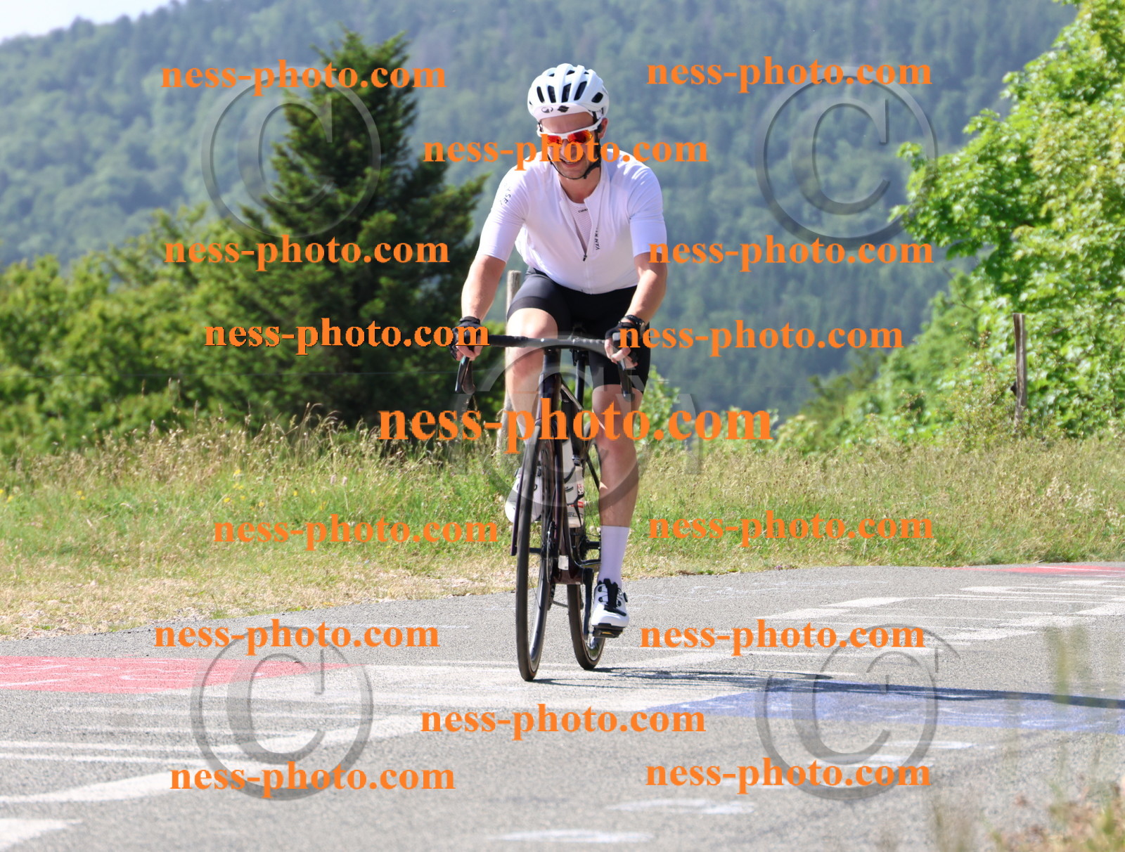 Col du grand Colombier (623).JPG