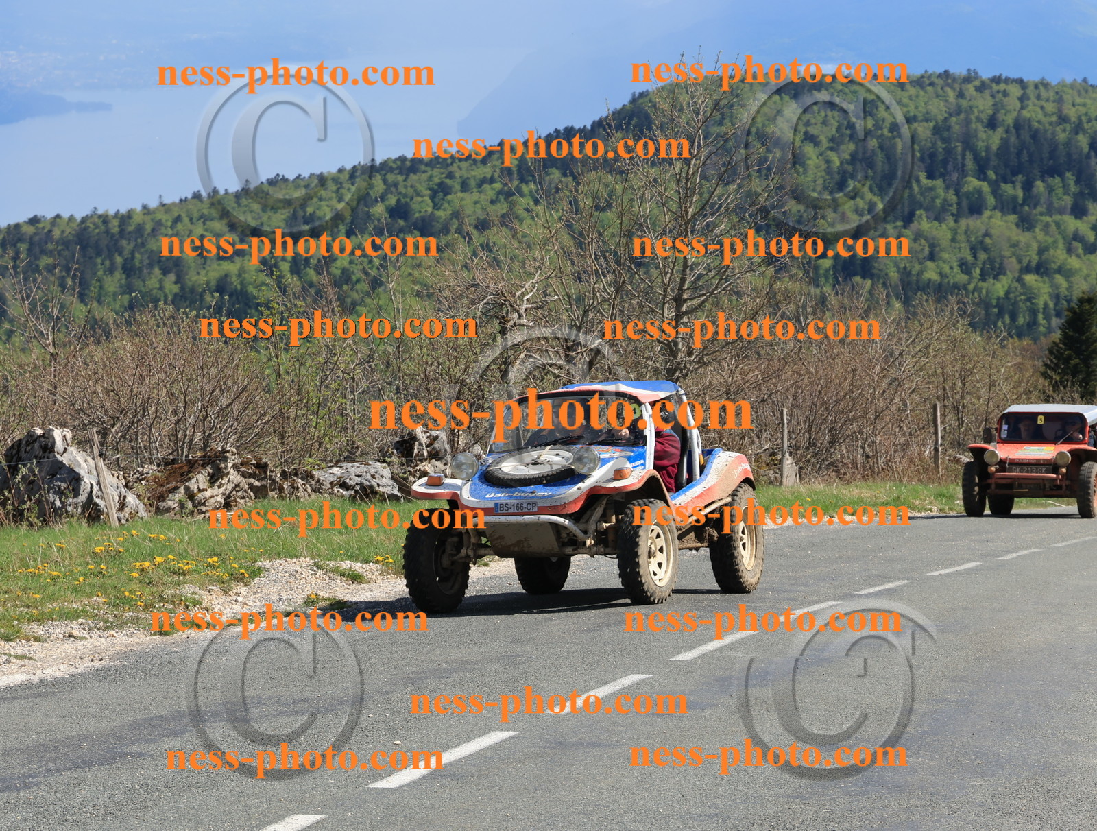 Col du Grand Colombier (206).JPG