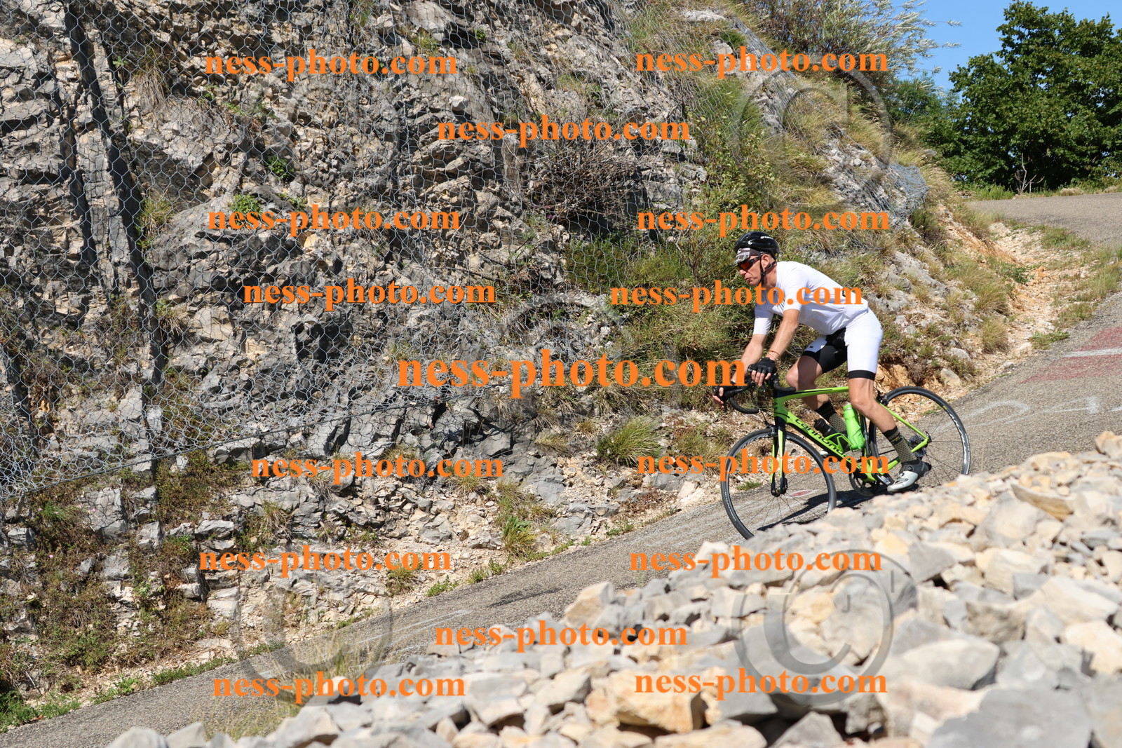 Col du Grand Colombier (656).JPG