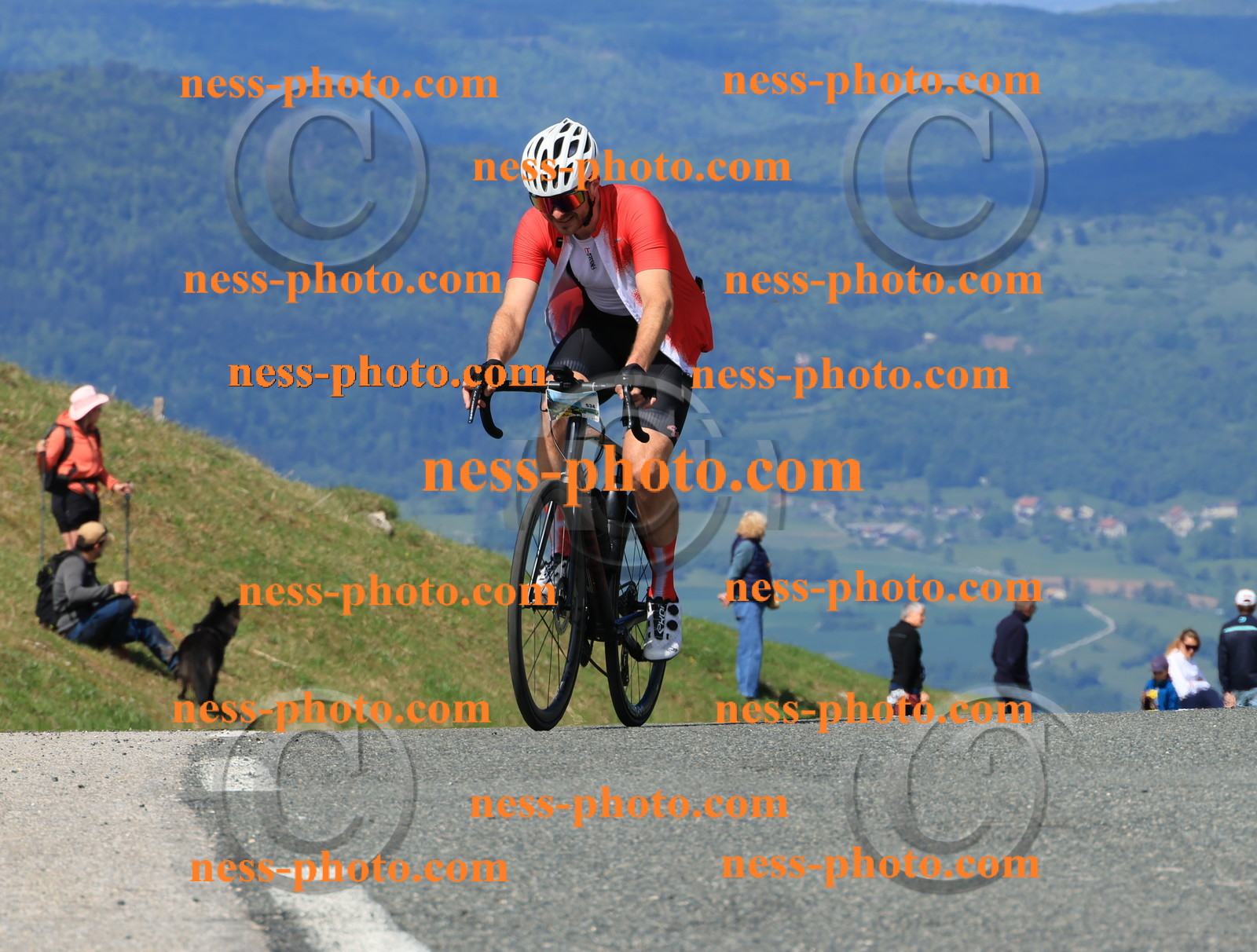 Col du Grand Colombier (390).JPG