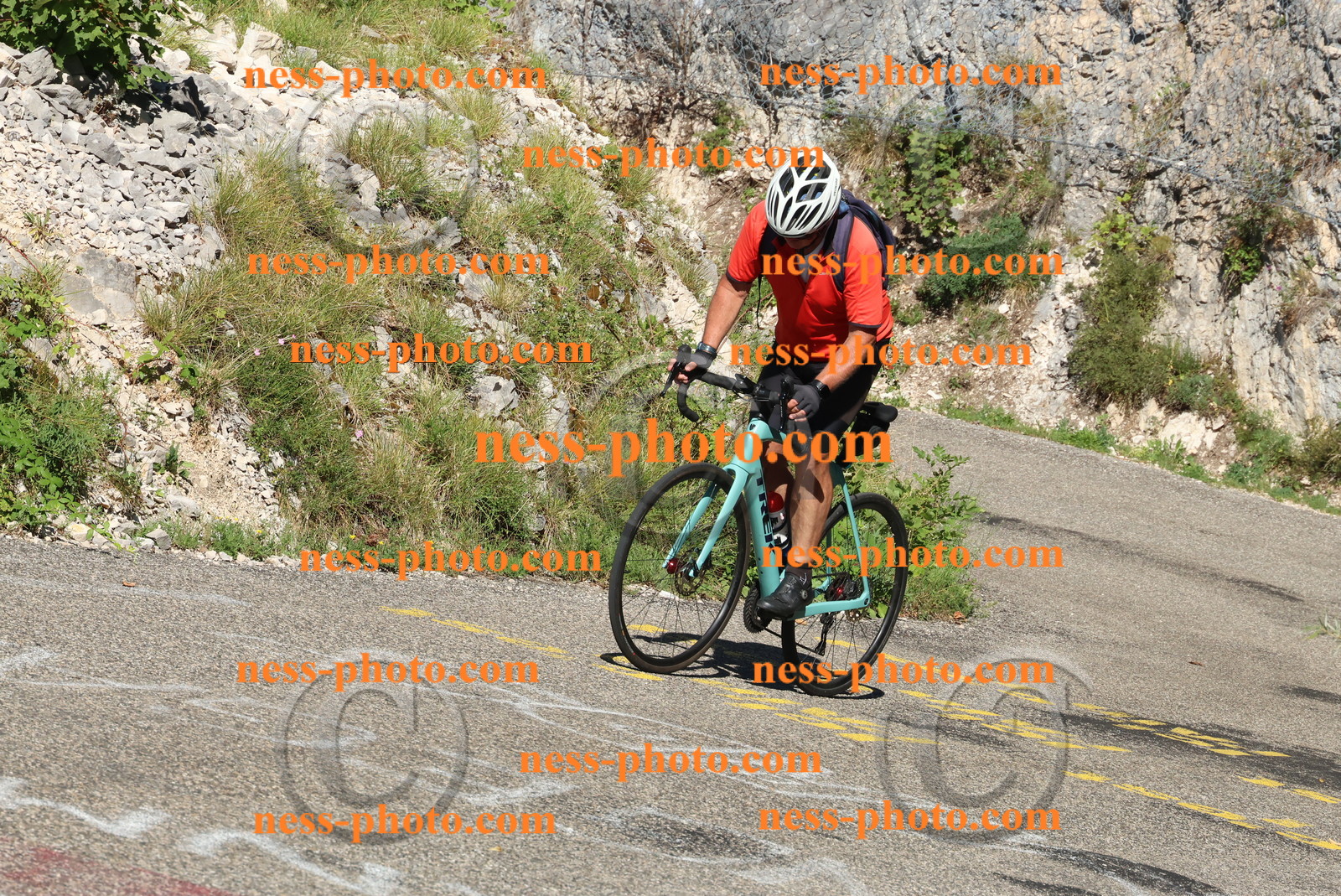 Col du Grand Colombier (230).JPG