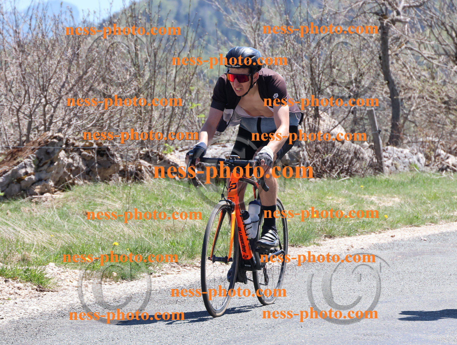 Col du Grand Colombier (803).JPG