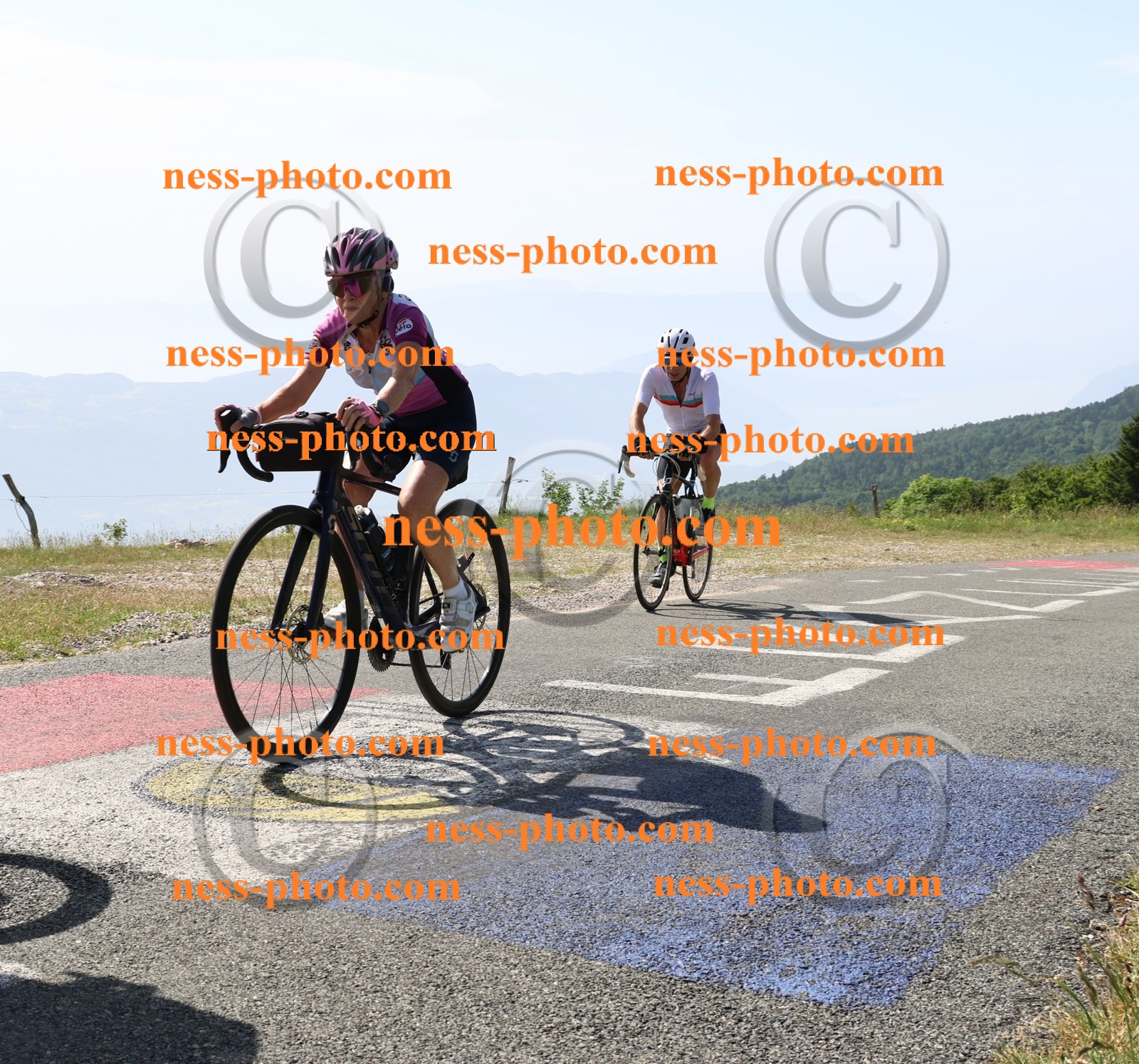 Col du grand Colombier (615).JPG