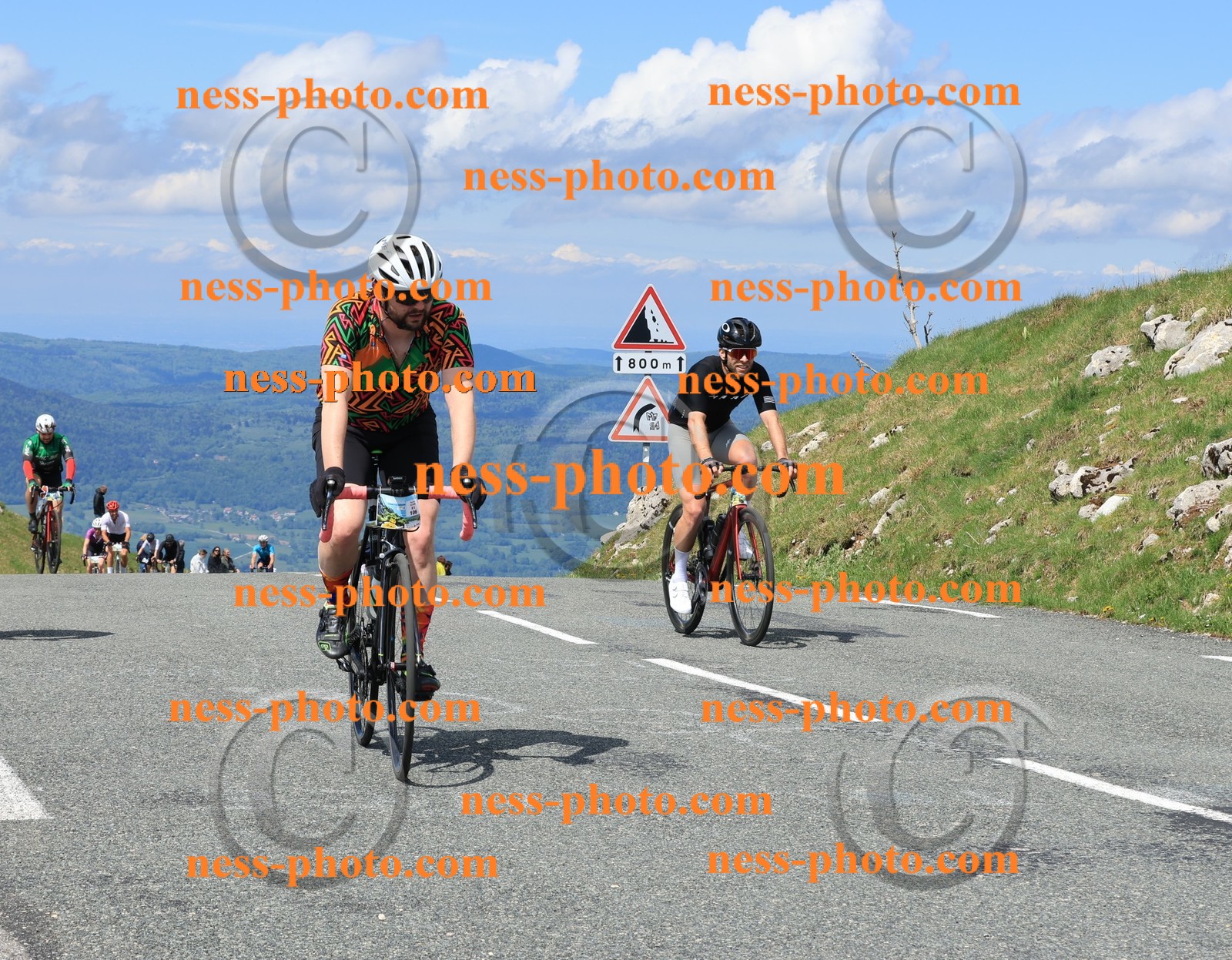 Col du Grand Colombier (1164).JPG