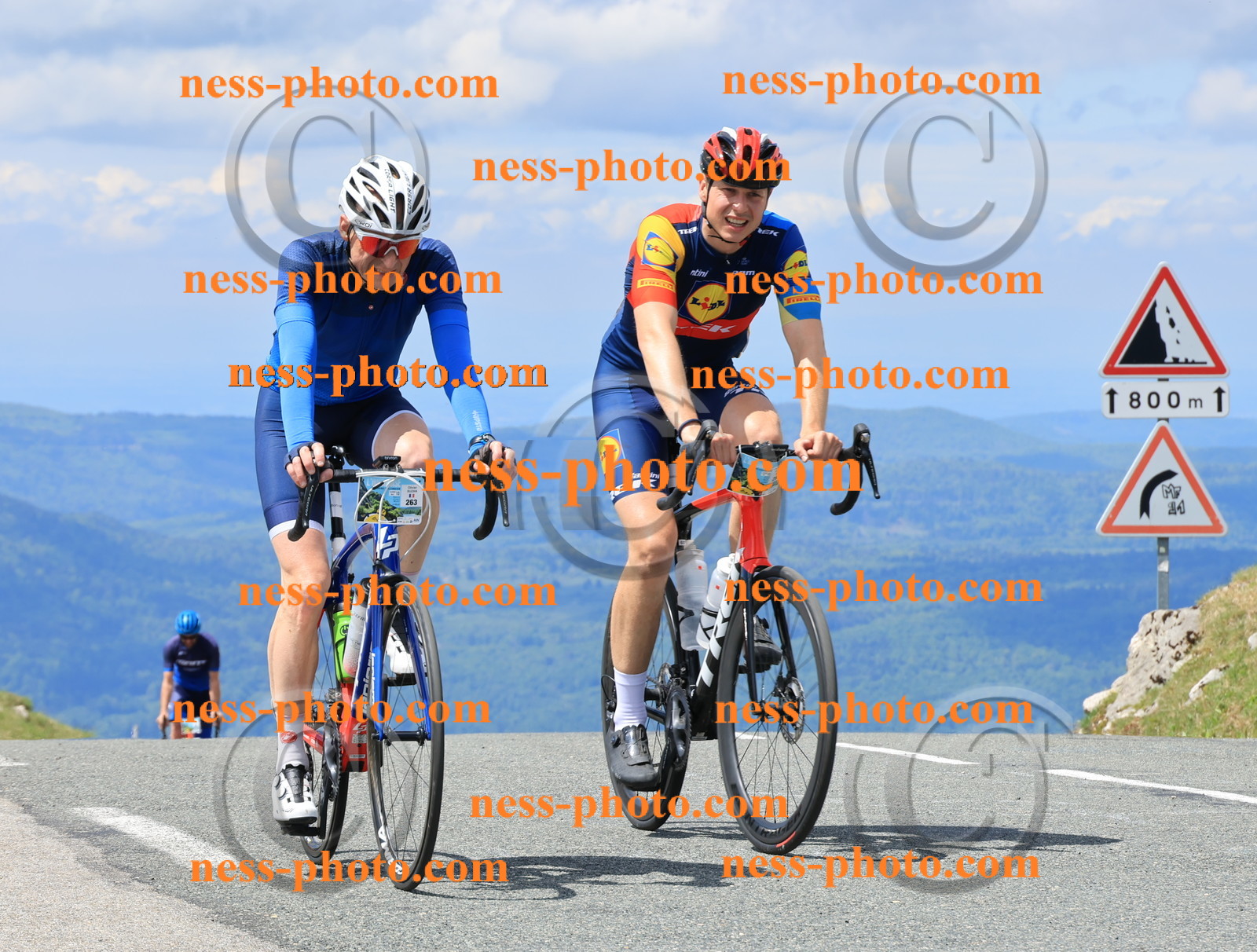 Col du Grand Colombier (2594).JPG