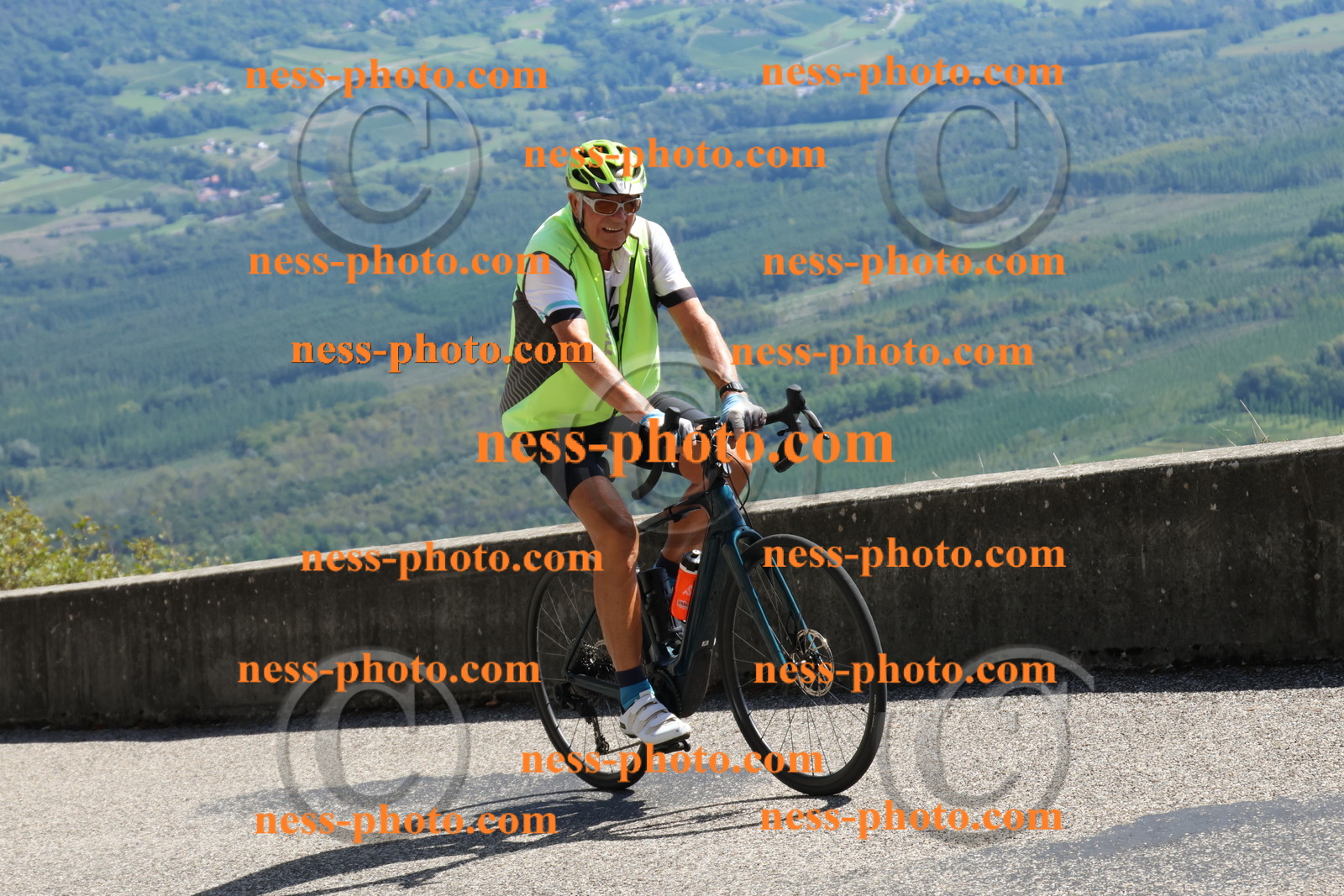 Col du Grand Colombier (716).JPG