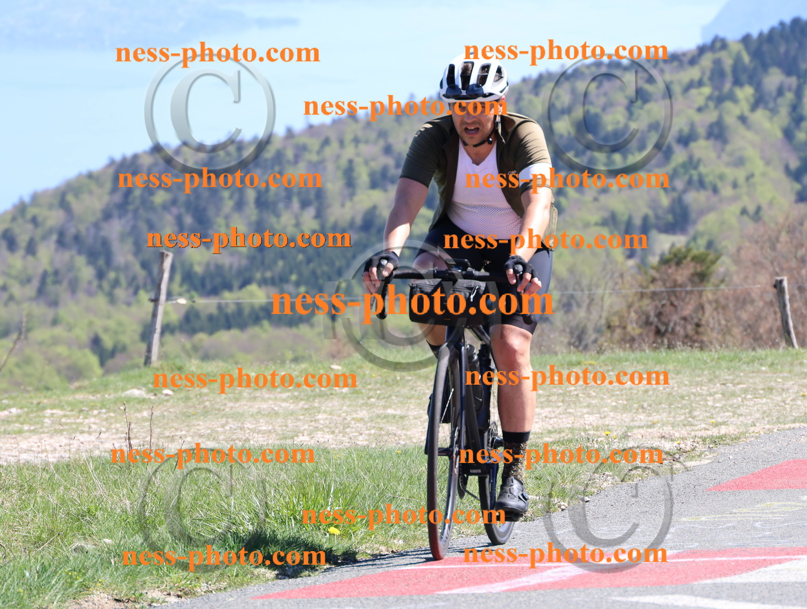 Col du Grand Colombier (993).JPG