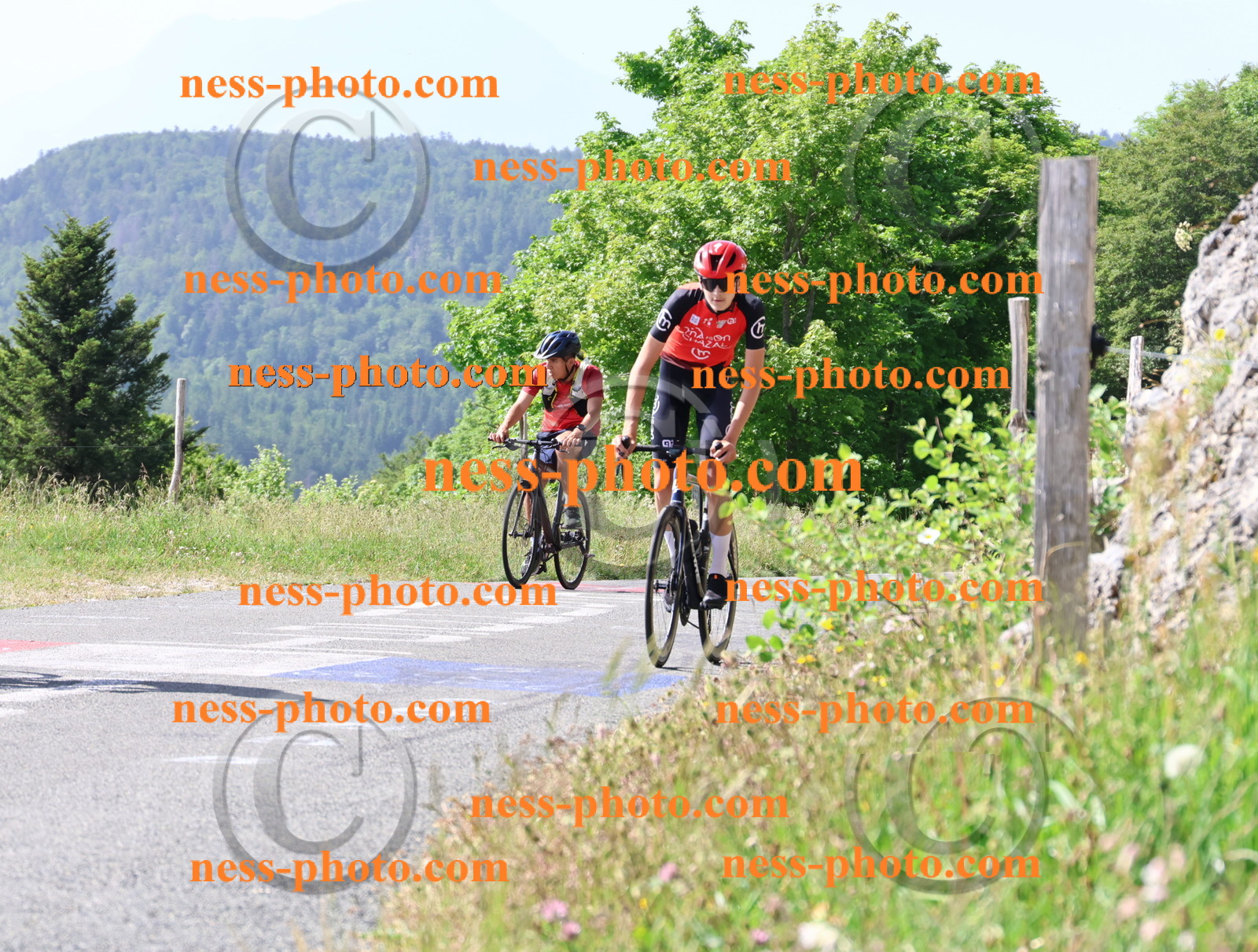 Col du grand Colombier (630).JPG