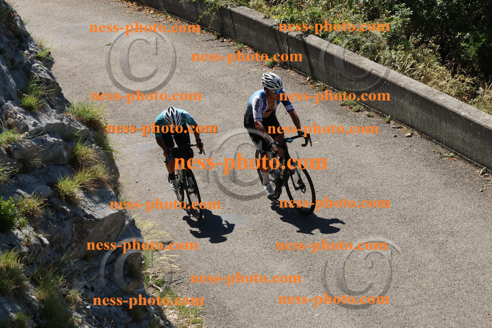 Col du Grand Colombier (322).JPG