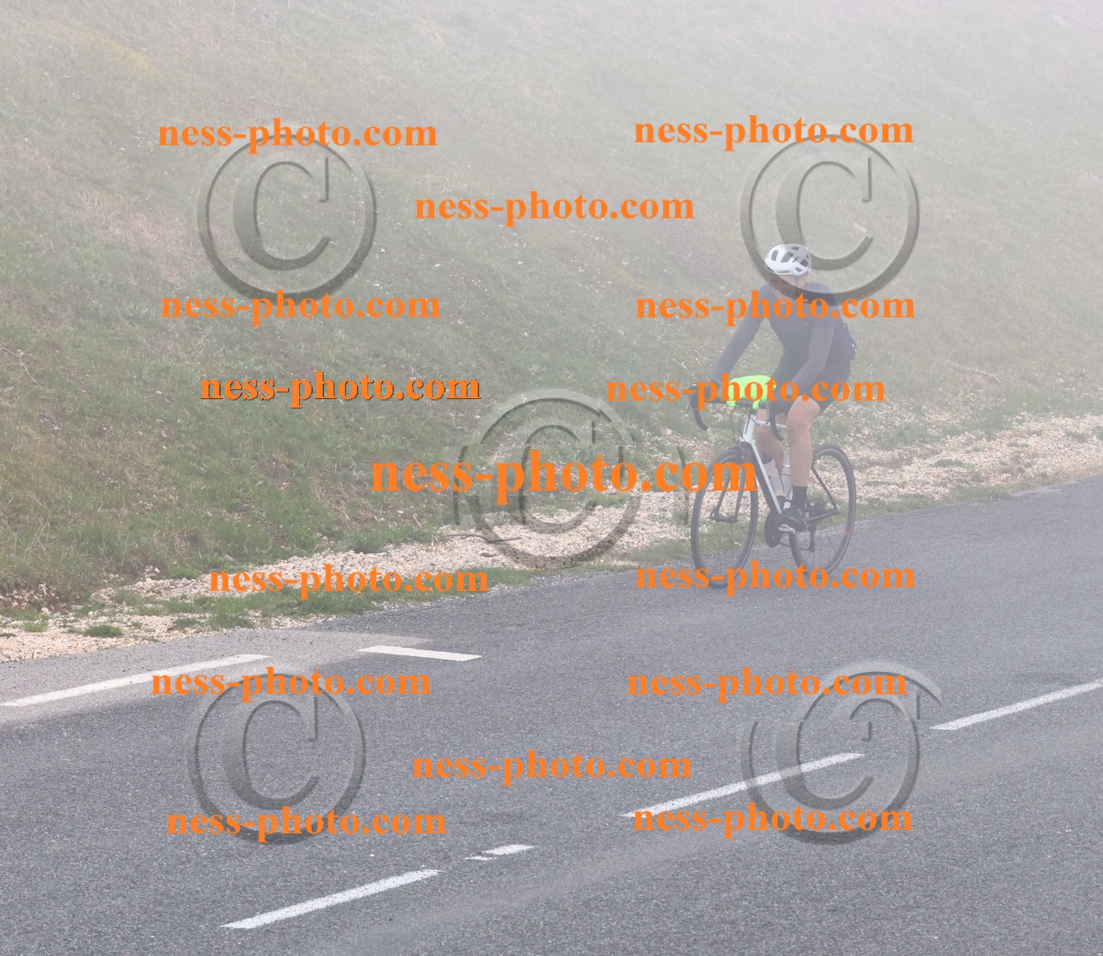 Col du Grand Colombier (364).JPG